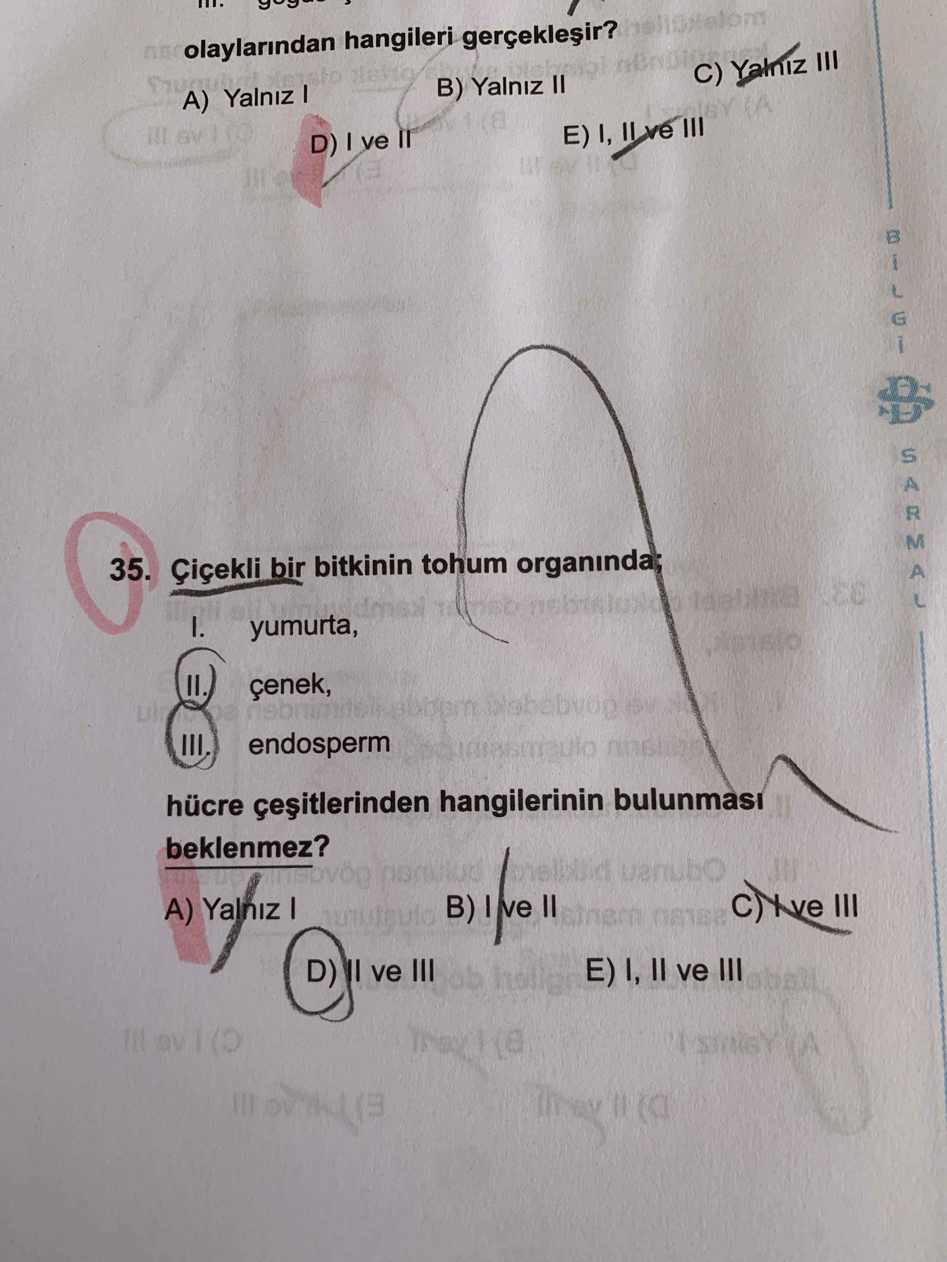 Çiçekli bir bitkinin tohum organında; I. yumurta, II. çenek, III. endosperm hücre çeşitlerinden