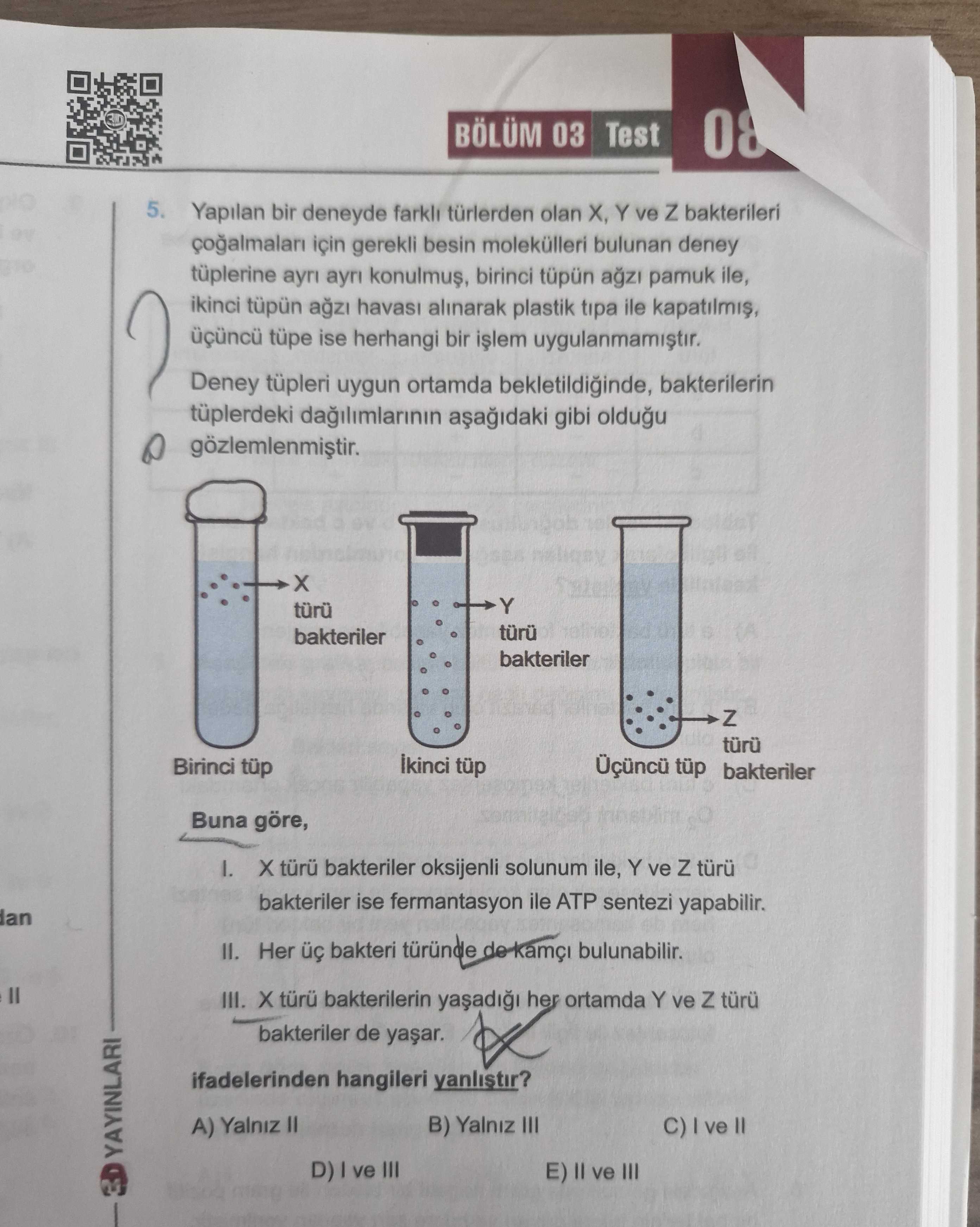 Yapılan bir deneyde farklı türlerden olan X, Y ve Z bakterileri çoğalmaları için gerekli besin