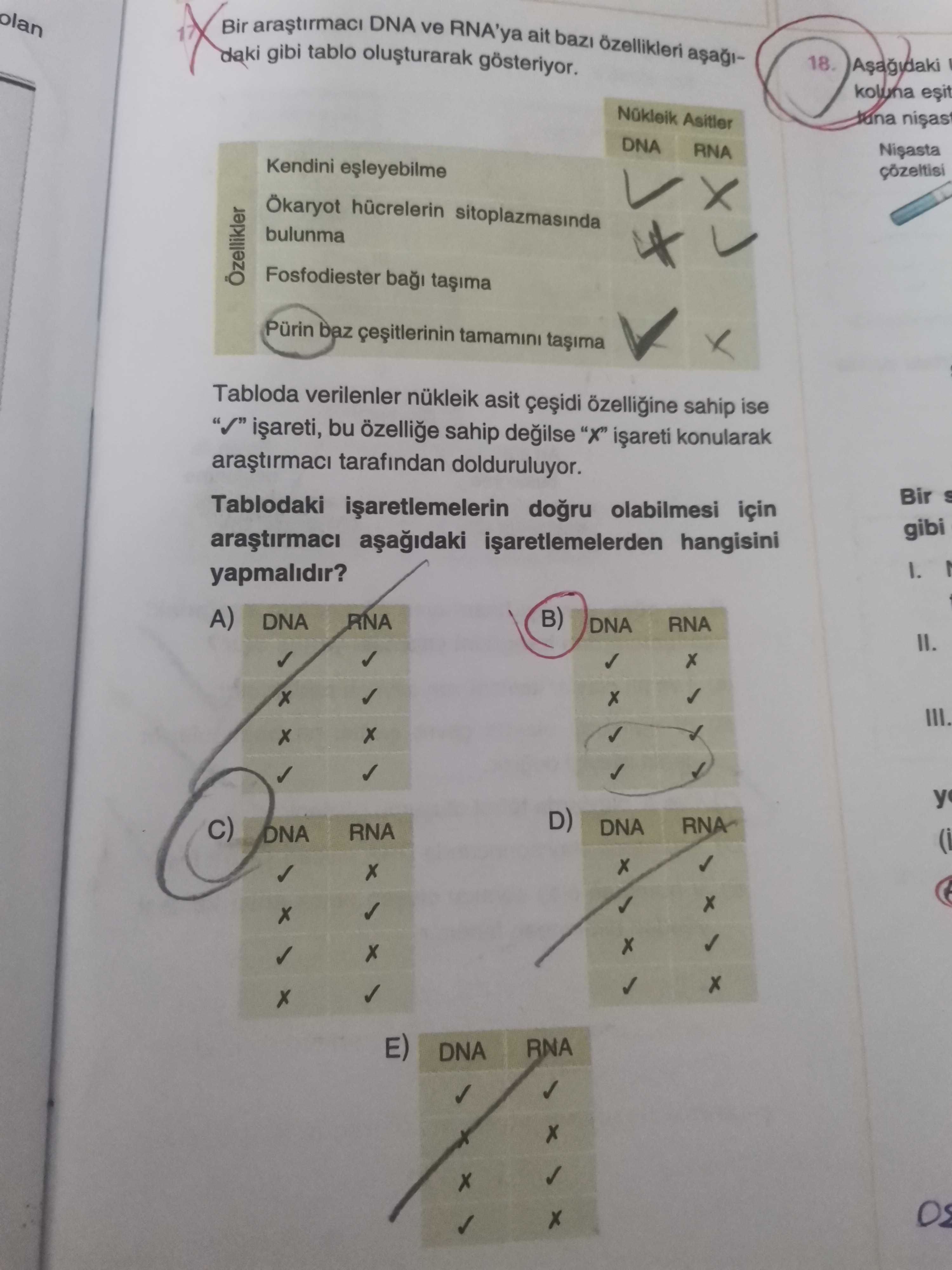 Bir araştırmacı DNA ve RNA'ya ait bazı özellikleri aşağıdaki gibi tablo oluşturarak gösteriyor