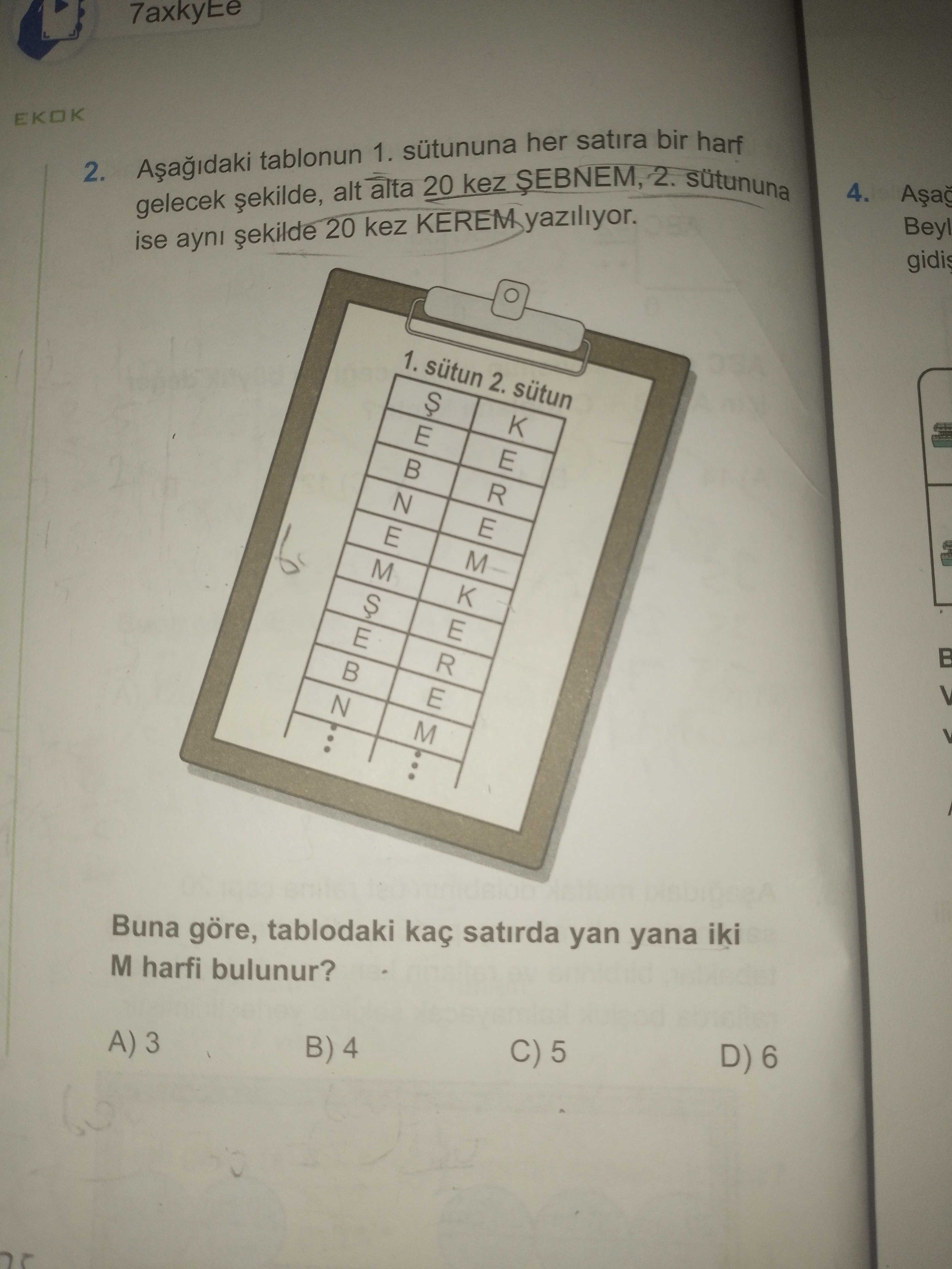 Aşağıdaki tablonun 1. sütununa her satıra bir harf gelecek şekilde, alt alta 20 kez ŞEBNEM, 2