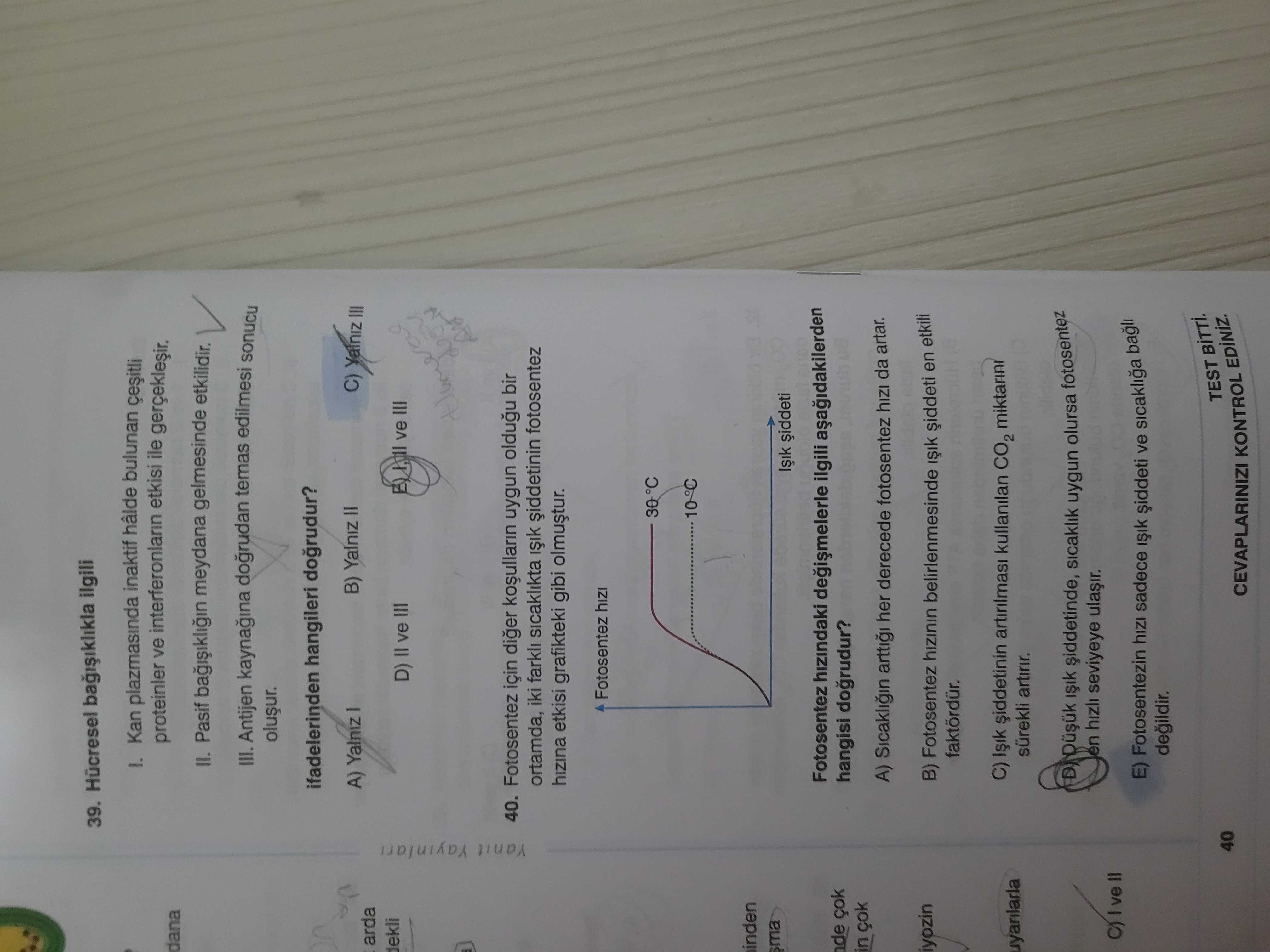 Hücresel bağışıklıkla ilgili I. Kan plazmasında inaktif hâlde bulunan çeşitli proteinler ve