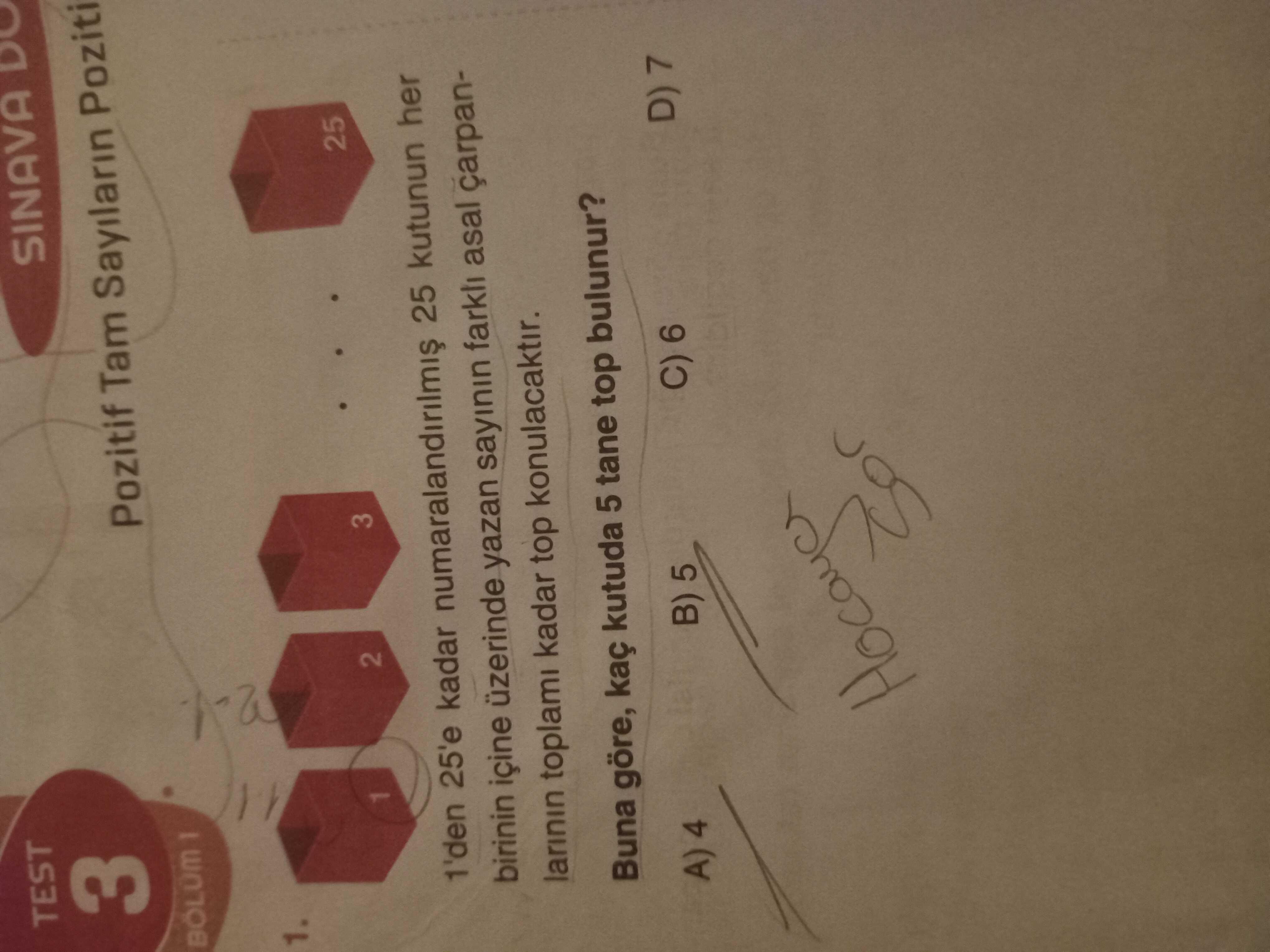 Matematik (8. Sınıf)