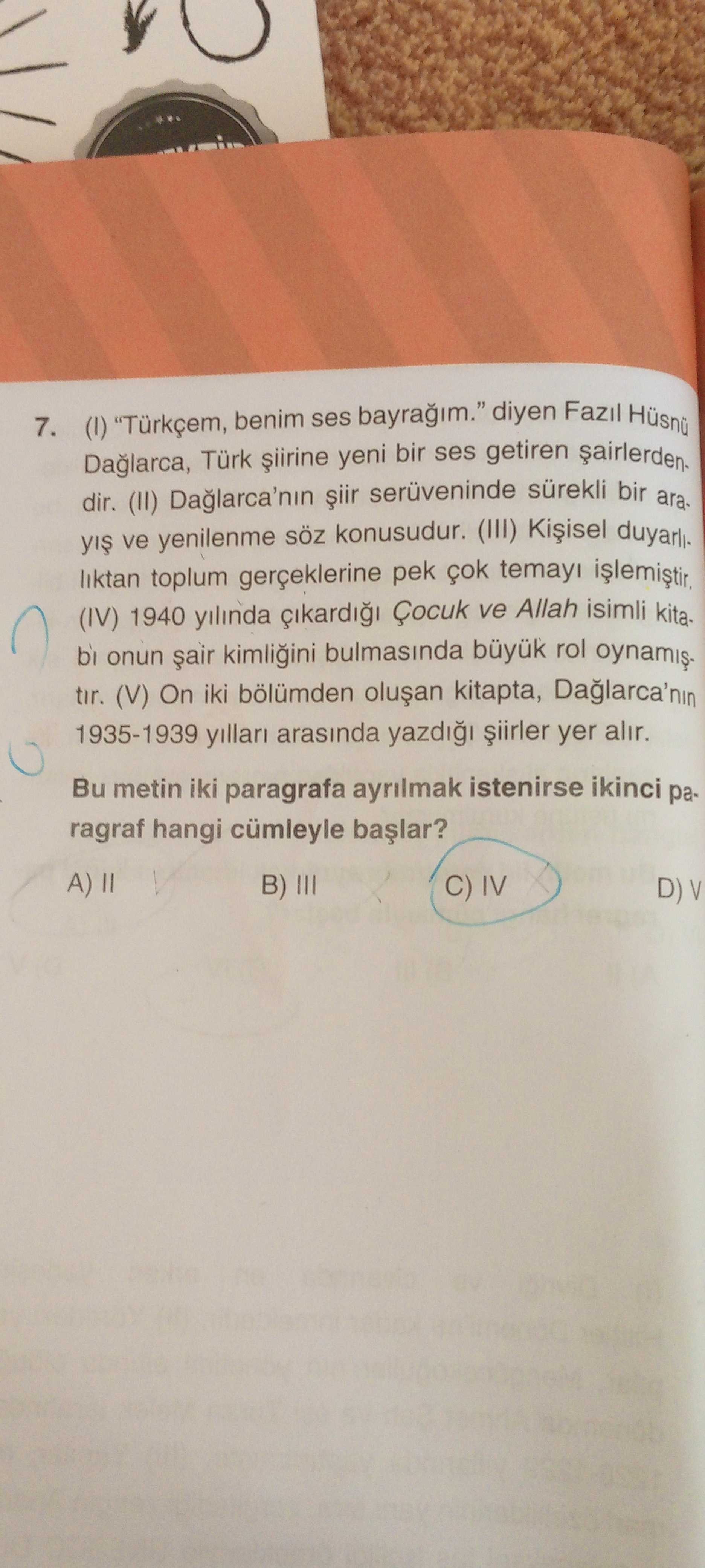 Türkçe (7. Sınıf)