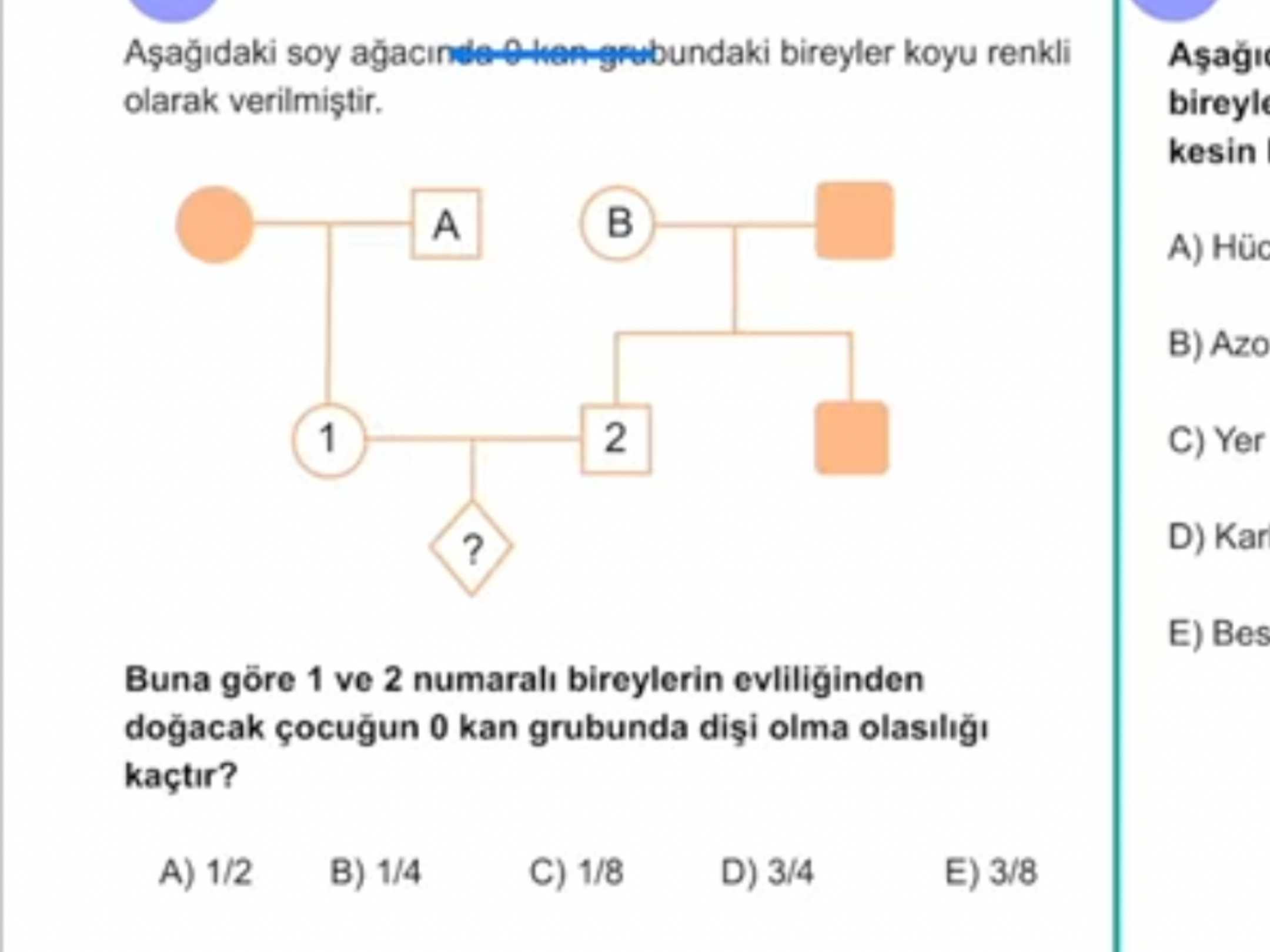 Aşağıdaki soy ağacında 0 kan grubundaki bireyler koyu renkli olarak verilmiştir. Buna göre 1 ve 2