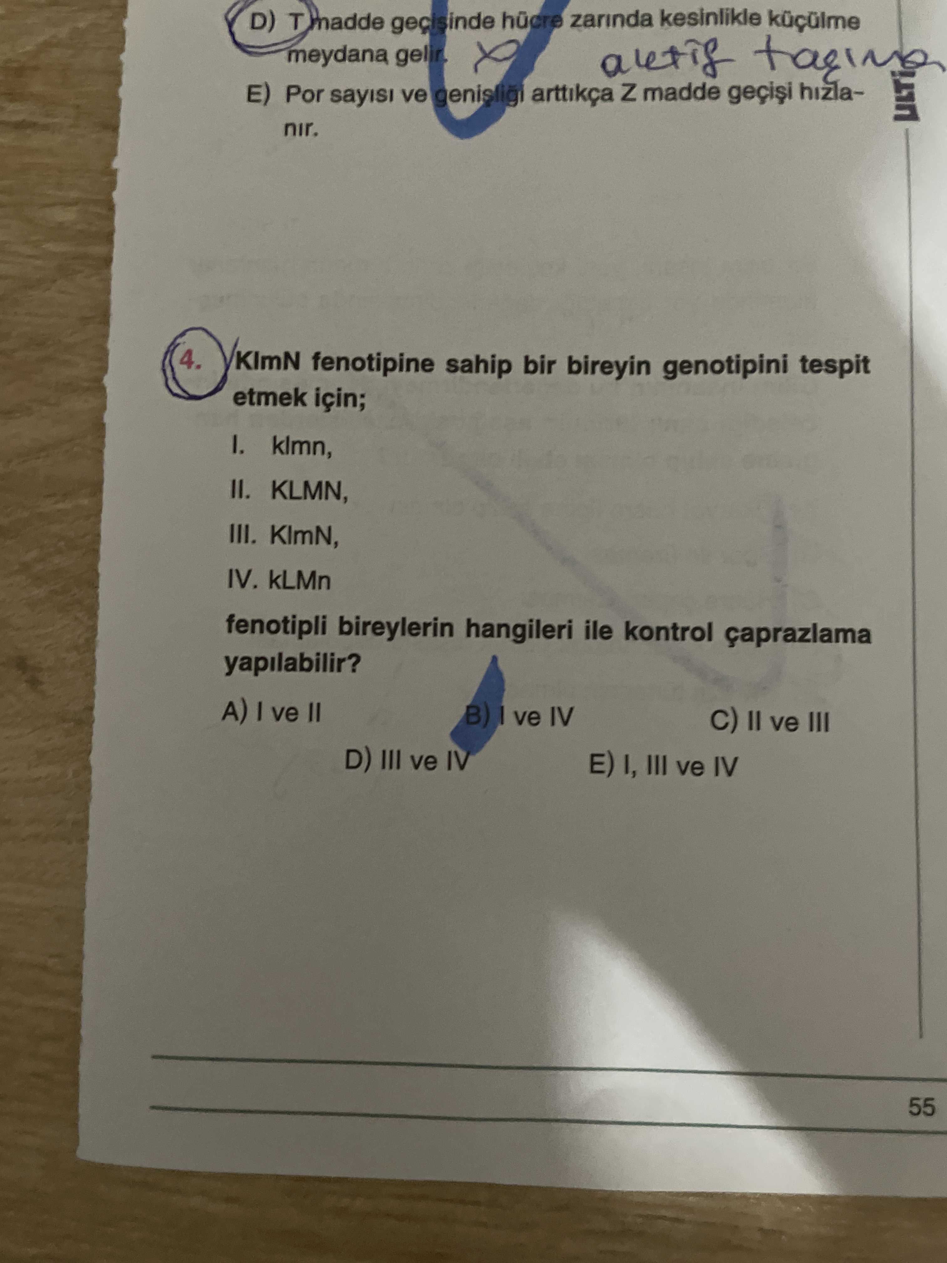 KlmN fenotipine sahip bir bireyin genotipini tespit etmek için; I. klmn, II. KLMN, III. KlmN, IV
