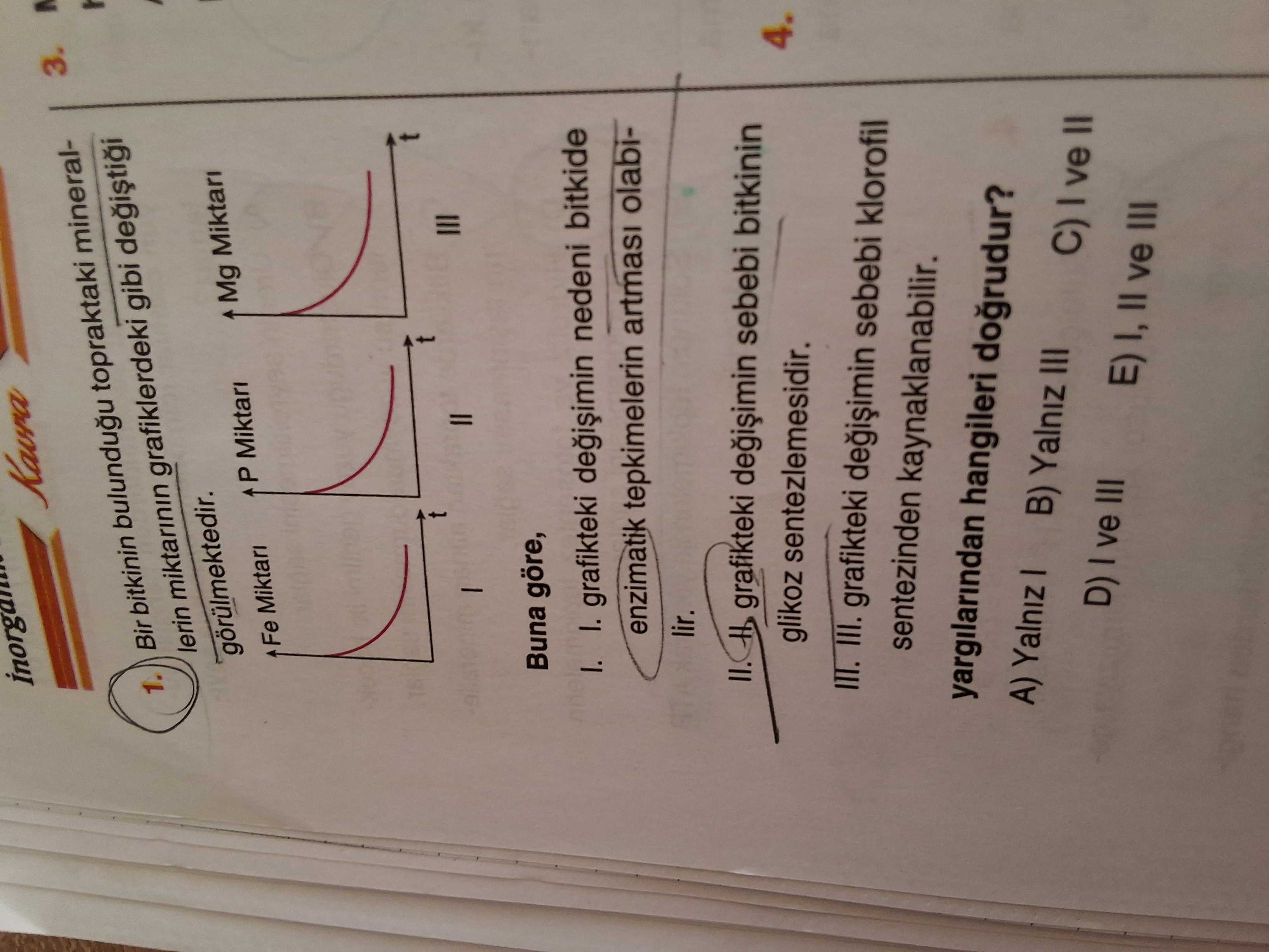 Biyoloji (12. Sınıf)