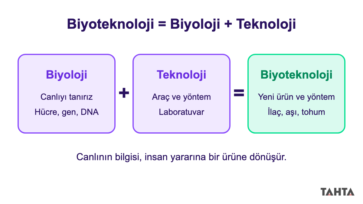 Biyoloji ve teknoloji kutularının birleşerek biyoteknolojiyi oluşturduğunu gösteren kavram şeması