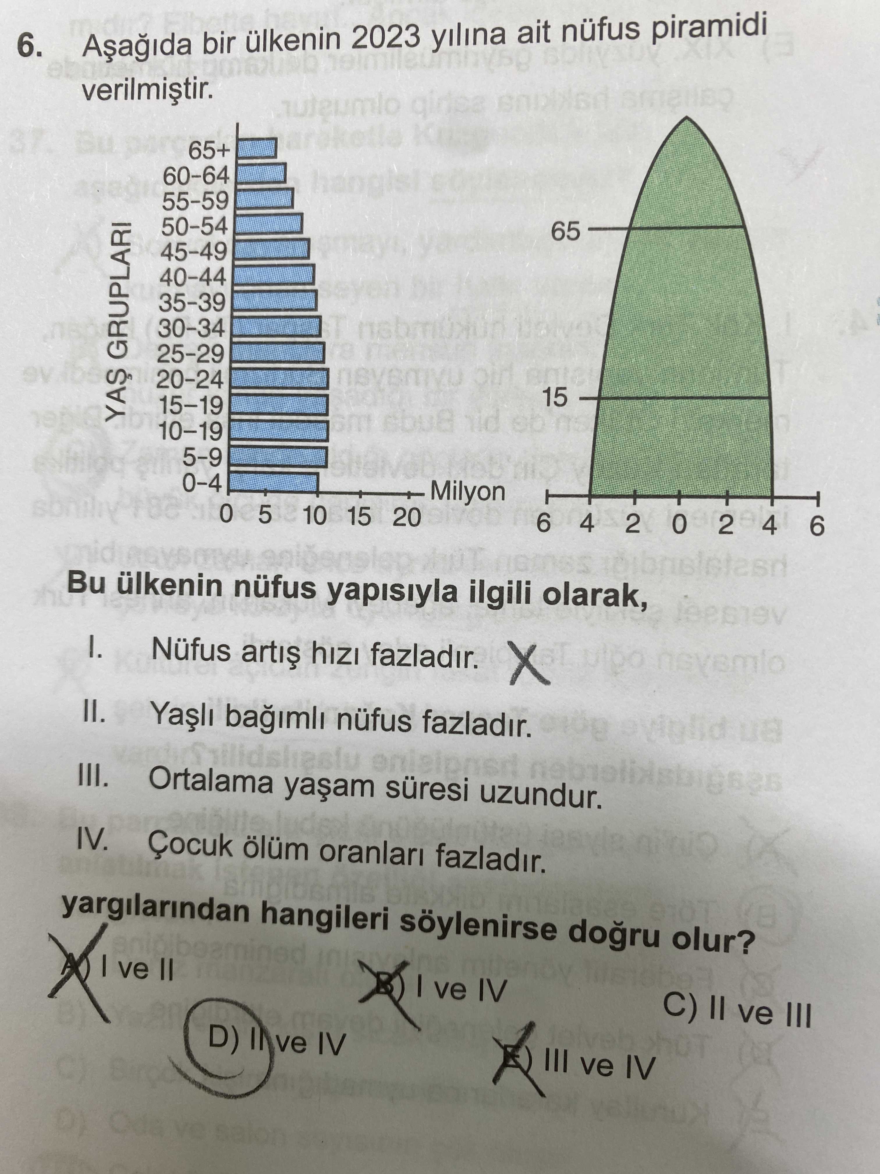 Aşağıda bir ülkenin 2023 yılına ait nüfus piramidi verilmiştir. Bu ülkenin nüfus yapısıyla ilgili