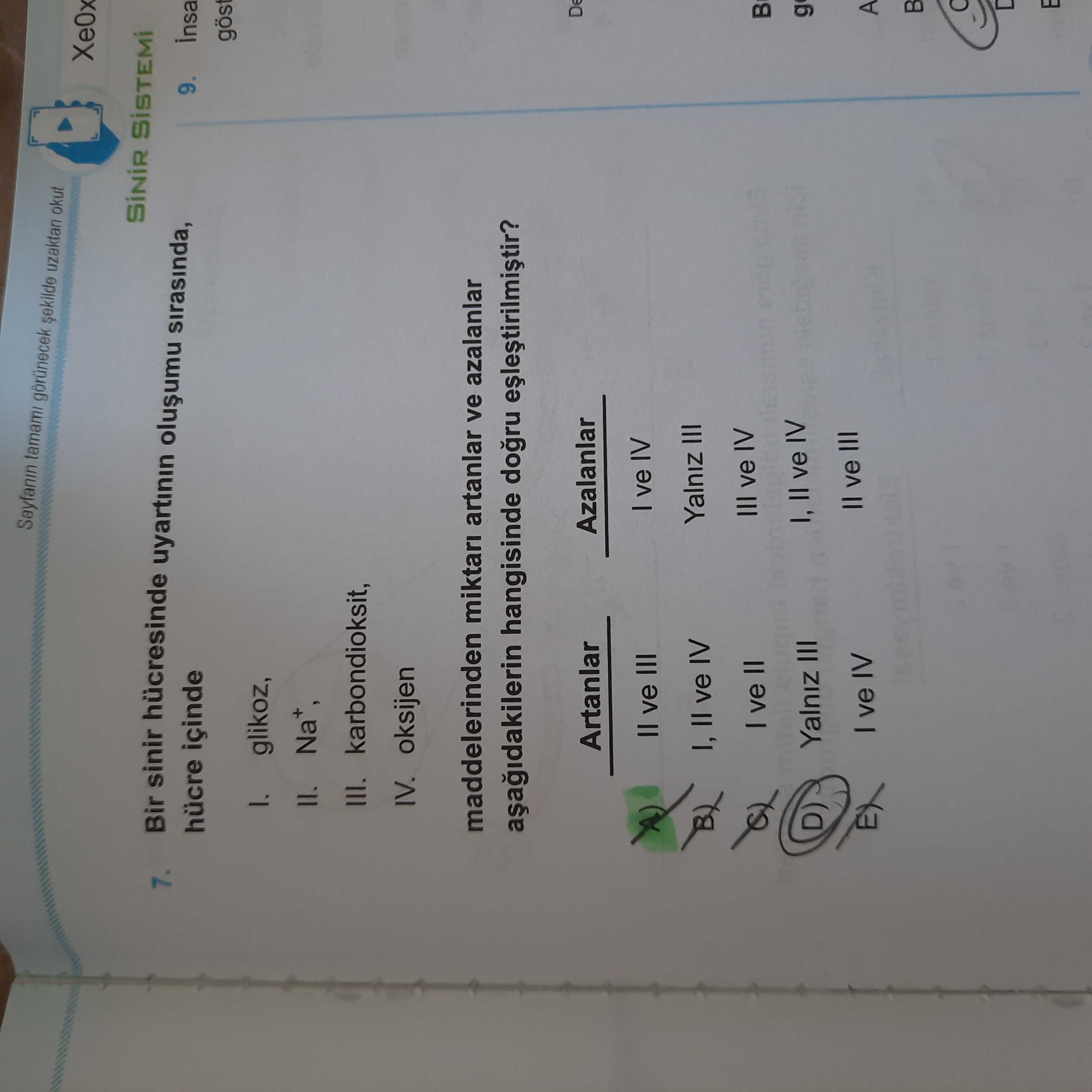 Bir sinir hücresinde uyartının oluşumu sırasında, hücre içinde I. glikoz, II. Na⁺, III