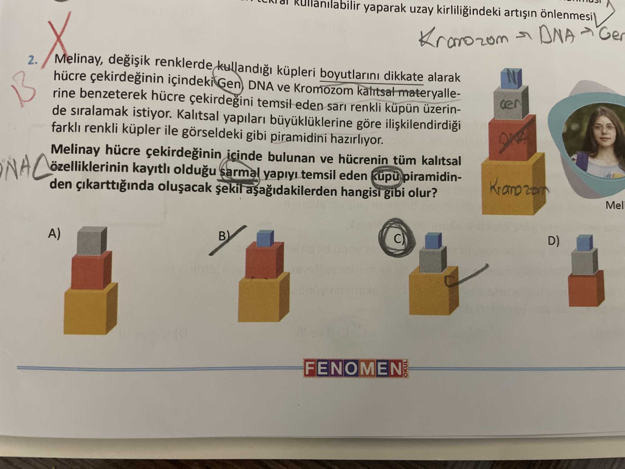 Melinay, değişik renklerde kullandığı küpleri boyutlarını dikkate alarak hücre çekirdeğinin içindeki