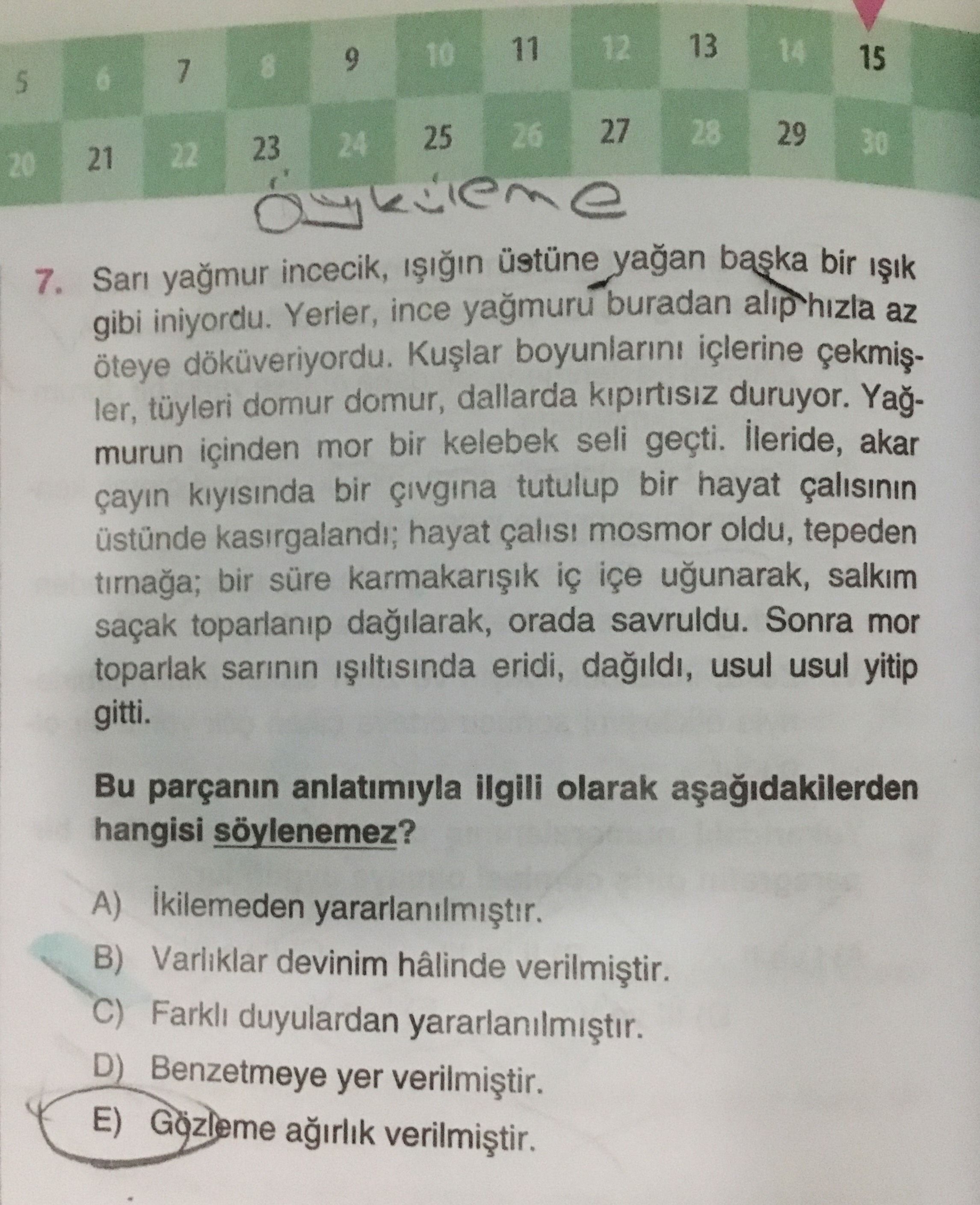 Sarı yağmur incecik, ışığın üstüne yağan başka bir ışık gibi iniyordu. Yerler, ince yağmuru buradan