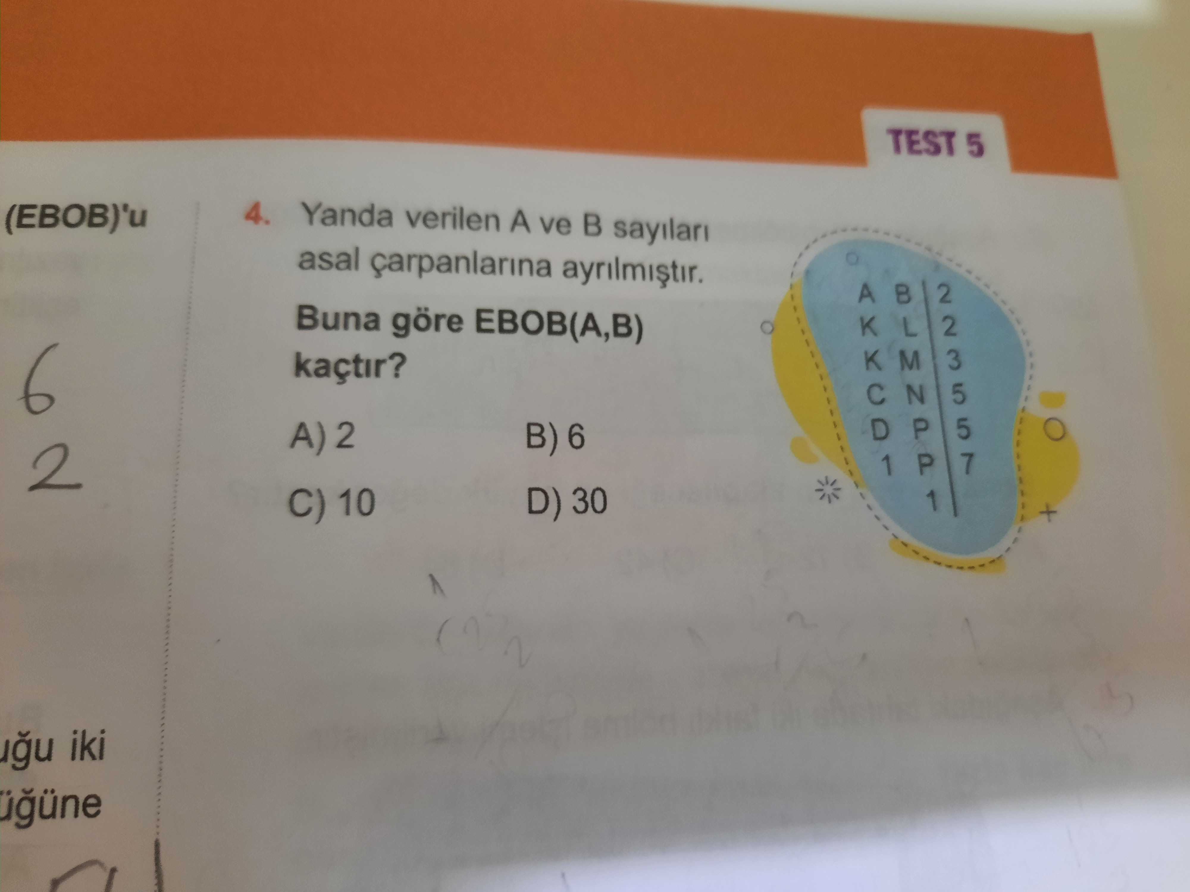 Matematik (8. Sınıf)