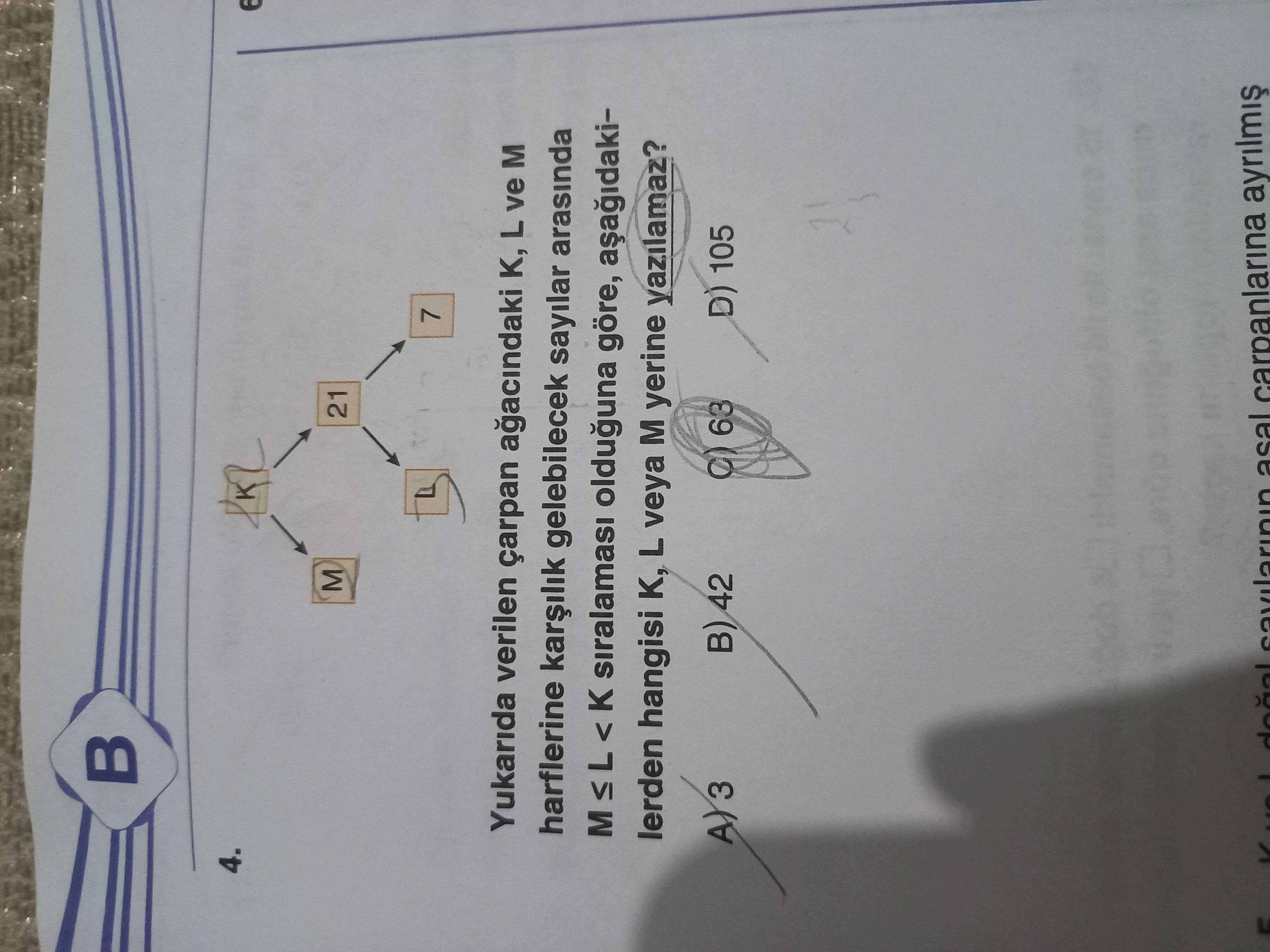 Matematik (8. Sınıf)