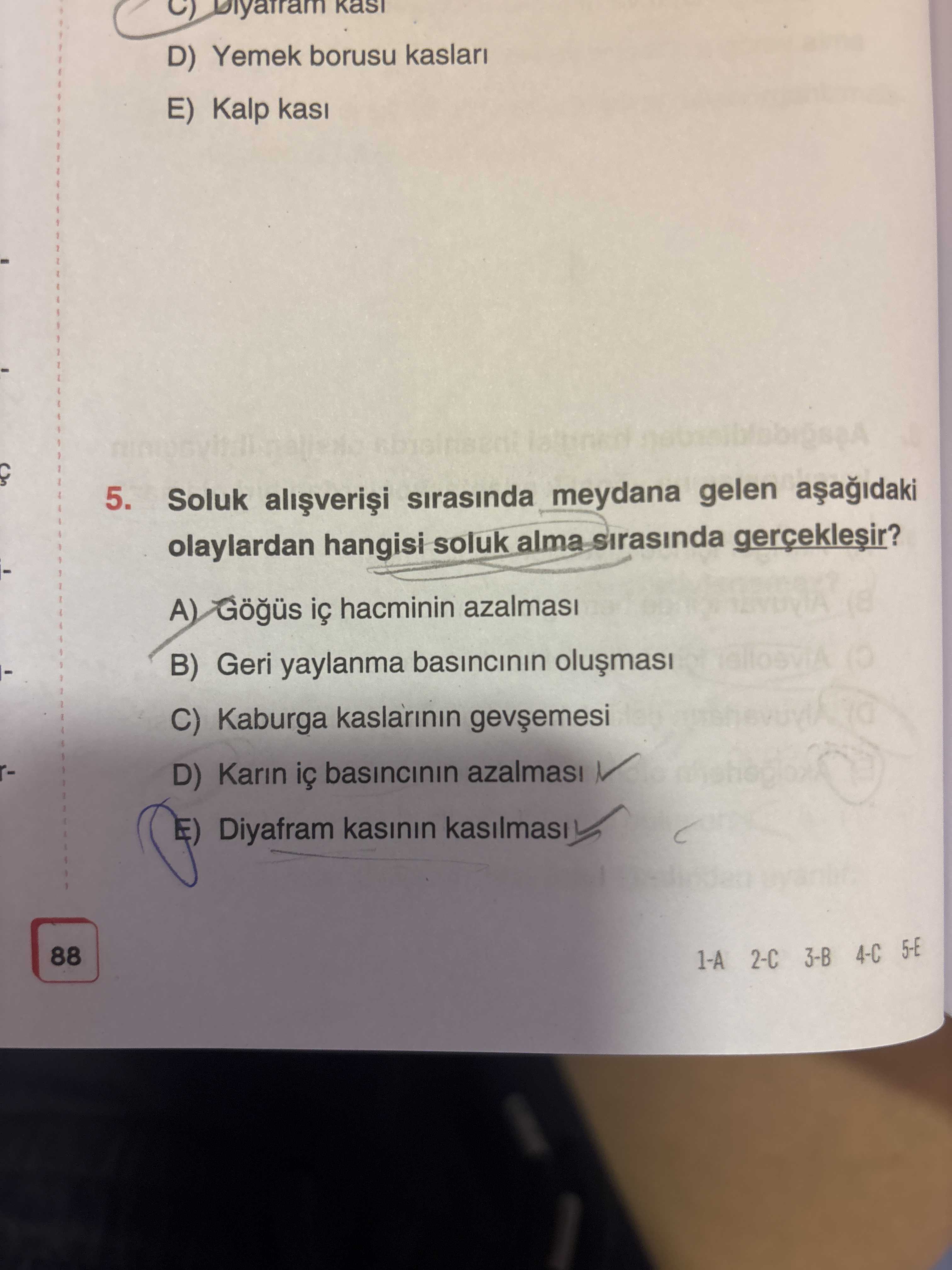 Soluk alışverişi sırasında meydana gelen aşağıdaki olaylardan hangisi soluk alma sırasında