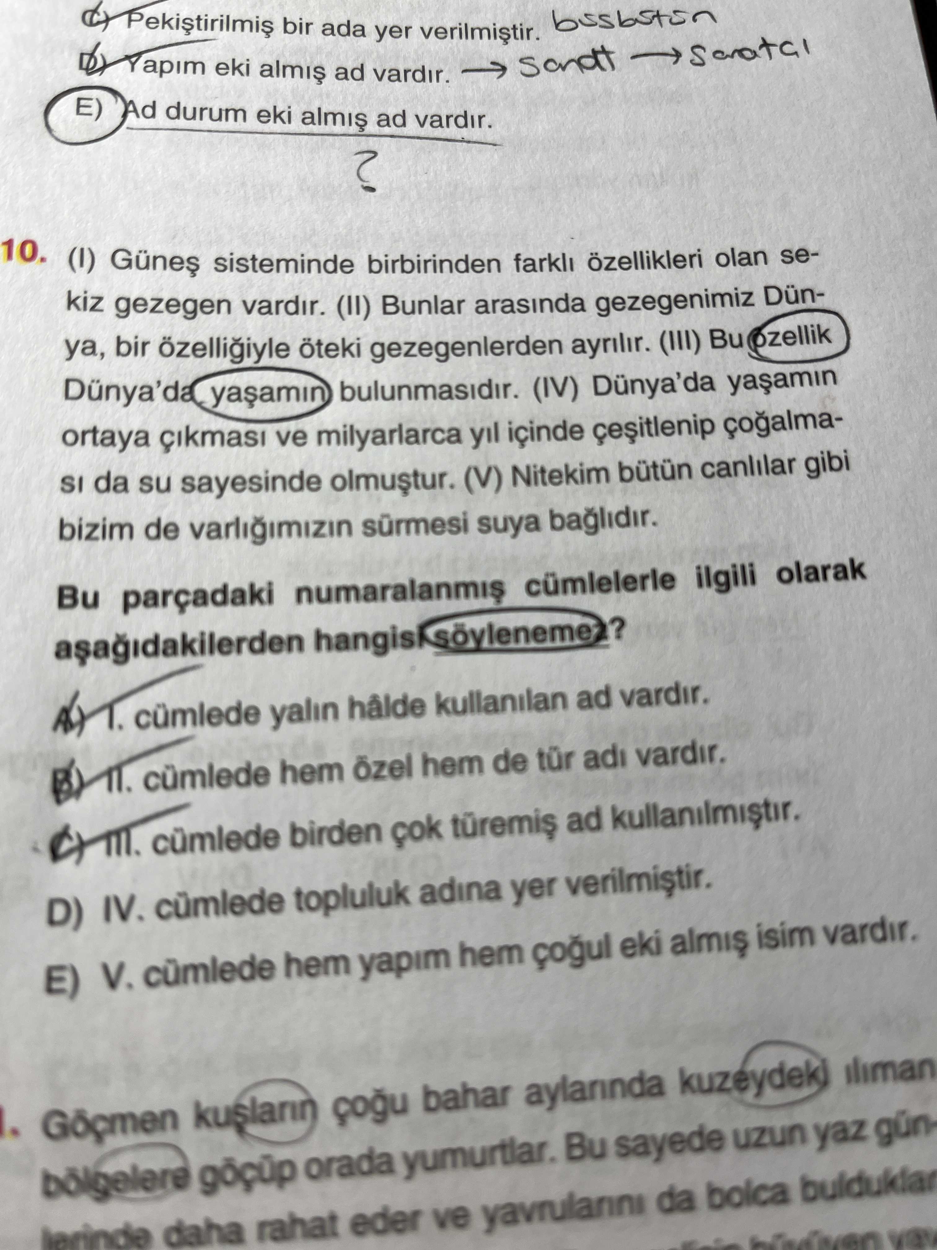 Türkçe (12. Sınıf)