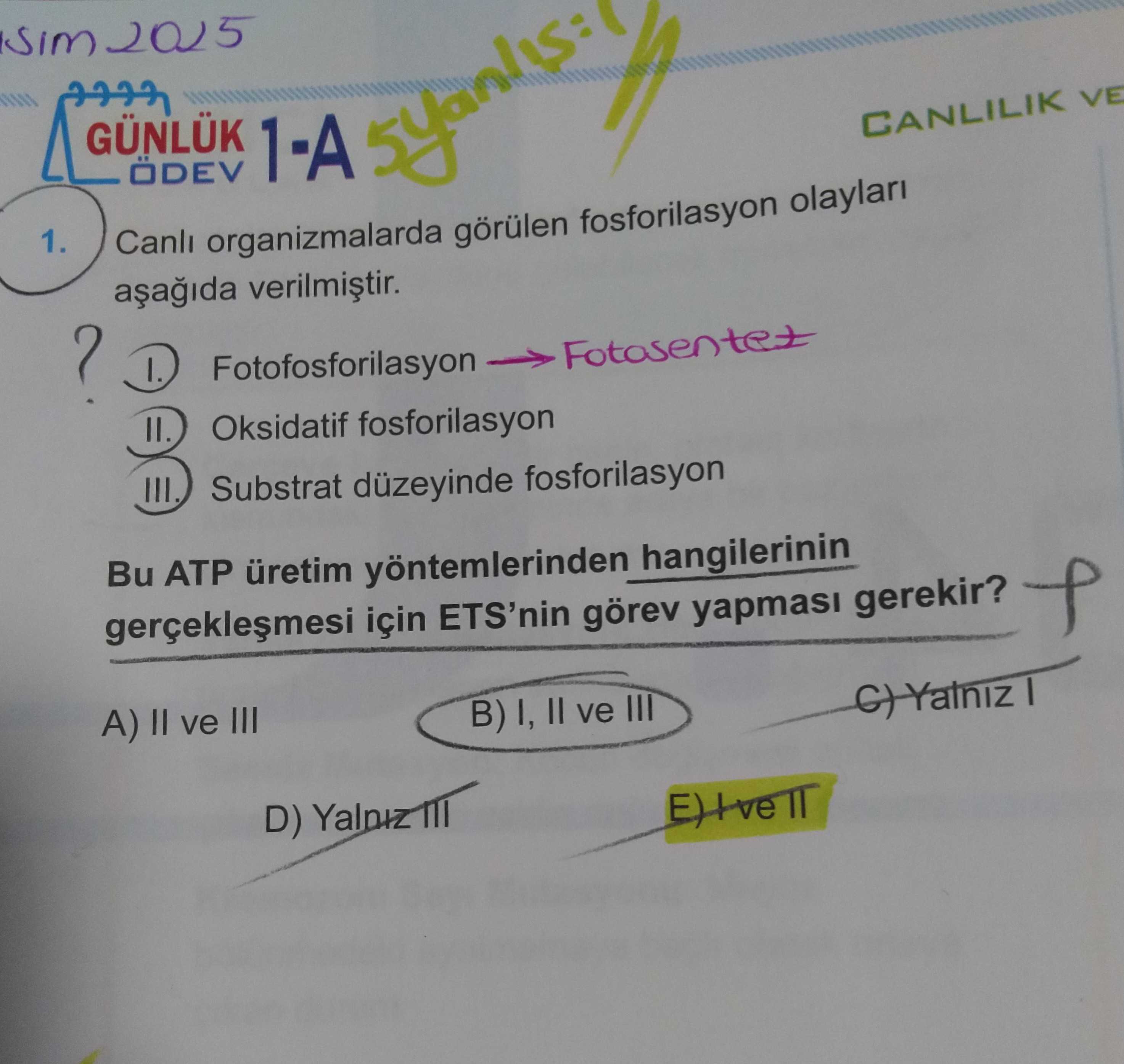 ) Canlı organizmalarda görülen fosforilaşyon olayları aşağıda verilmiştir. I.) Fotofosforilasyon