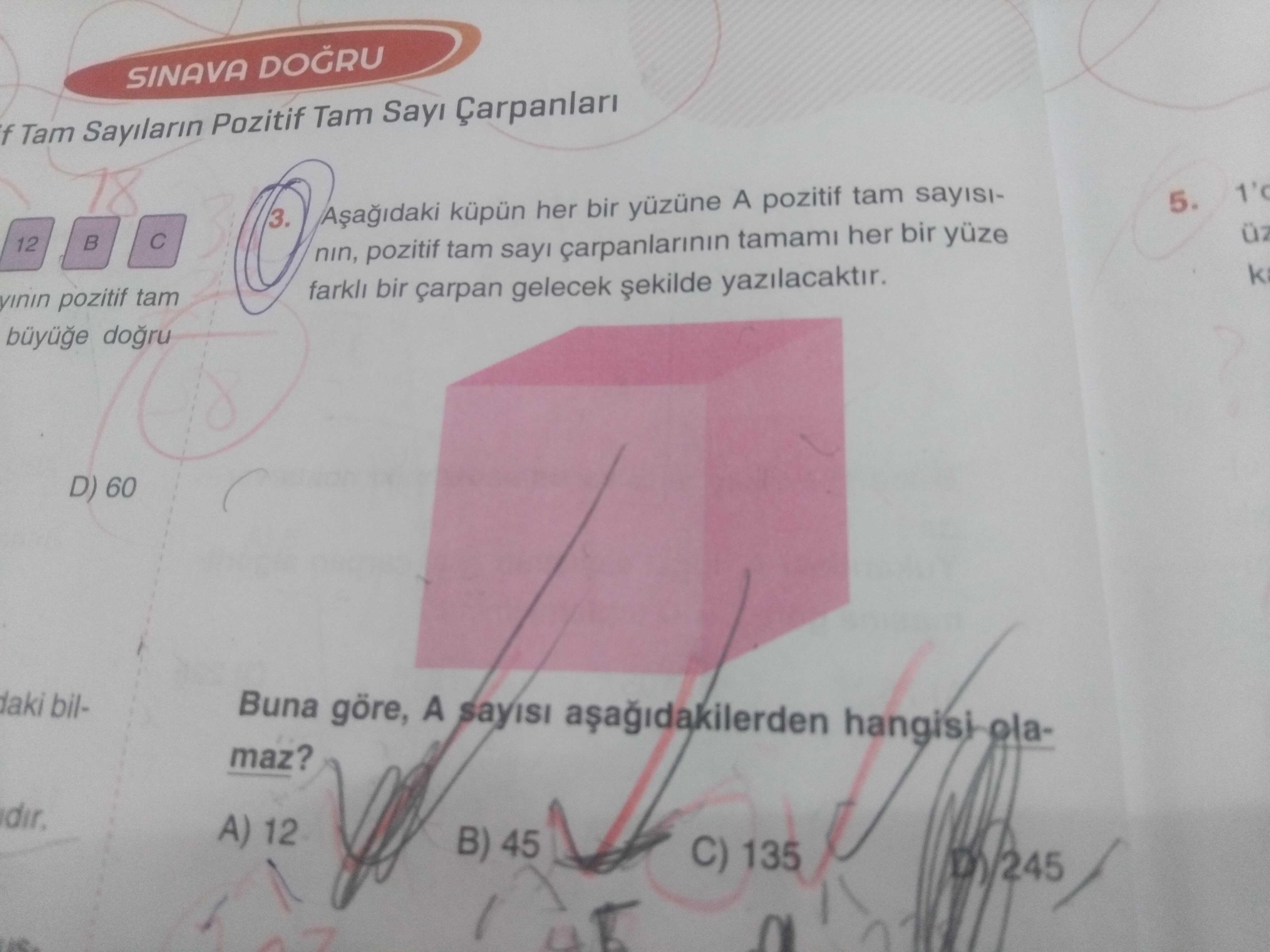 Matematik (8. Sınıf)