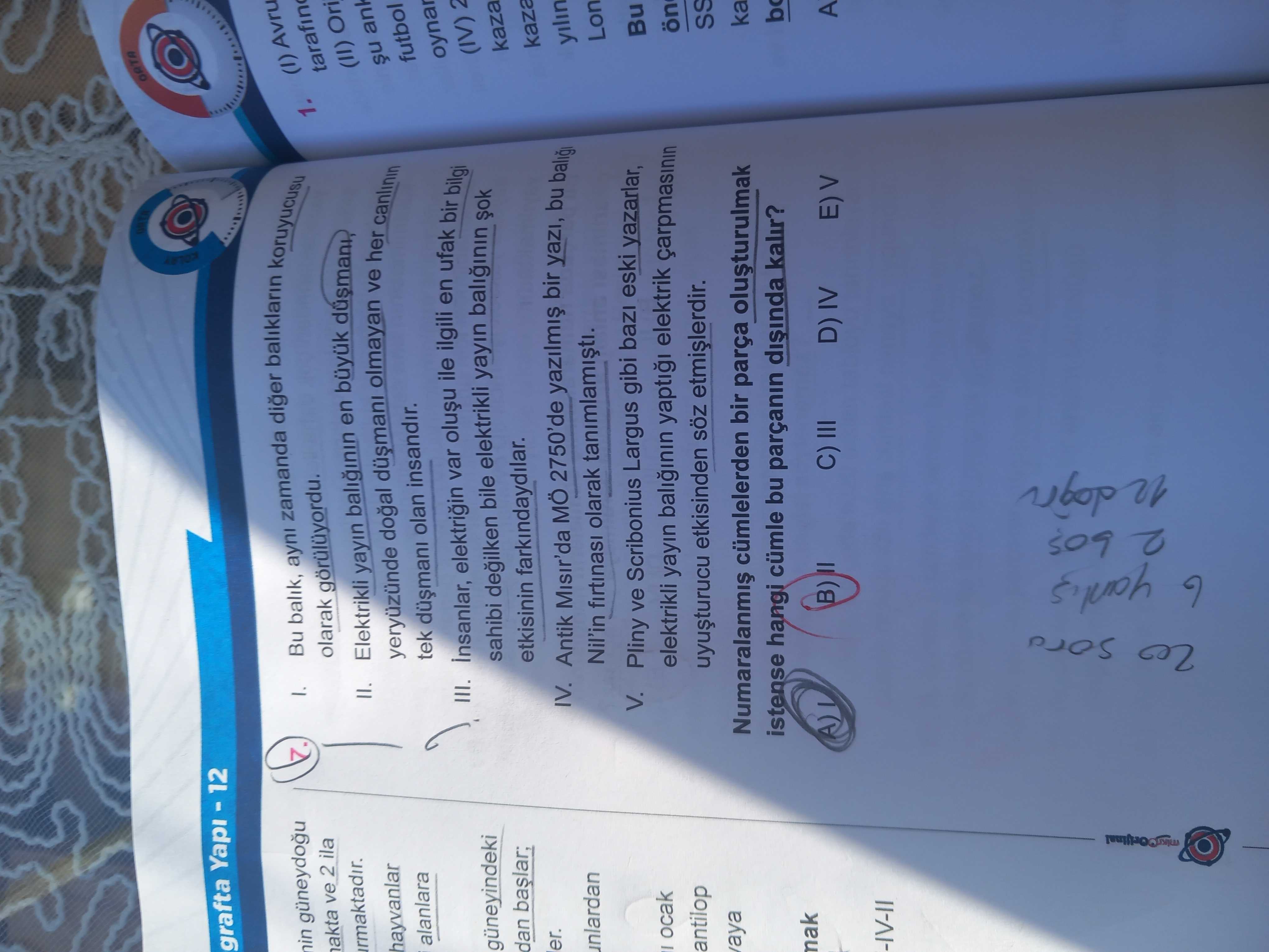 I. Bu balık, aynı zamanda diğer balıkların koruyucusu olarak görülüyordu. II. Elektrikli yayın