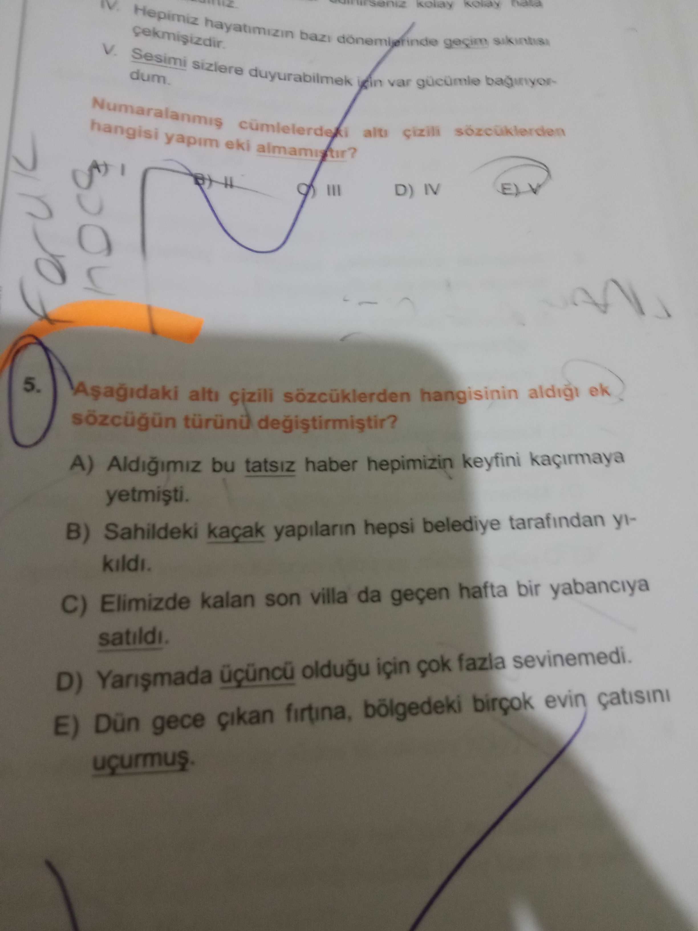 Türkçe (Mezun)