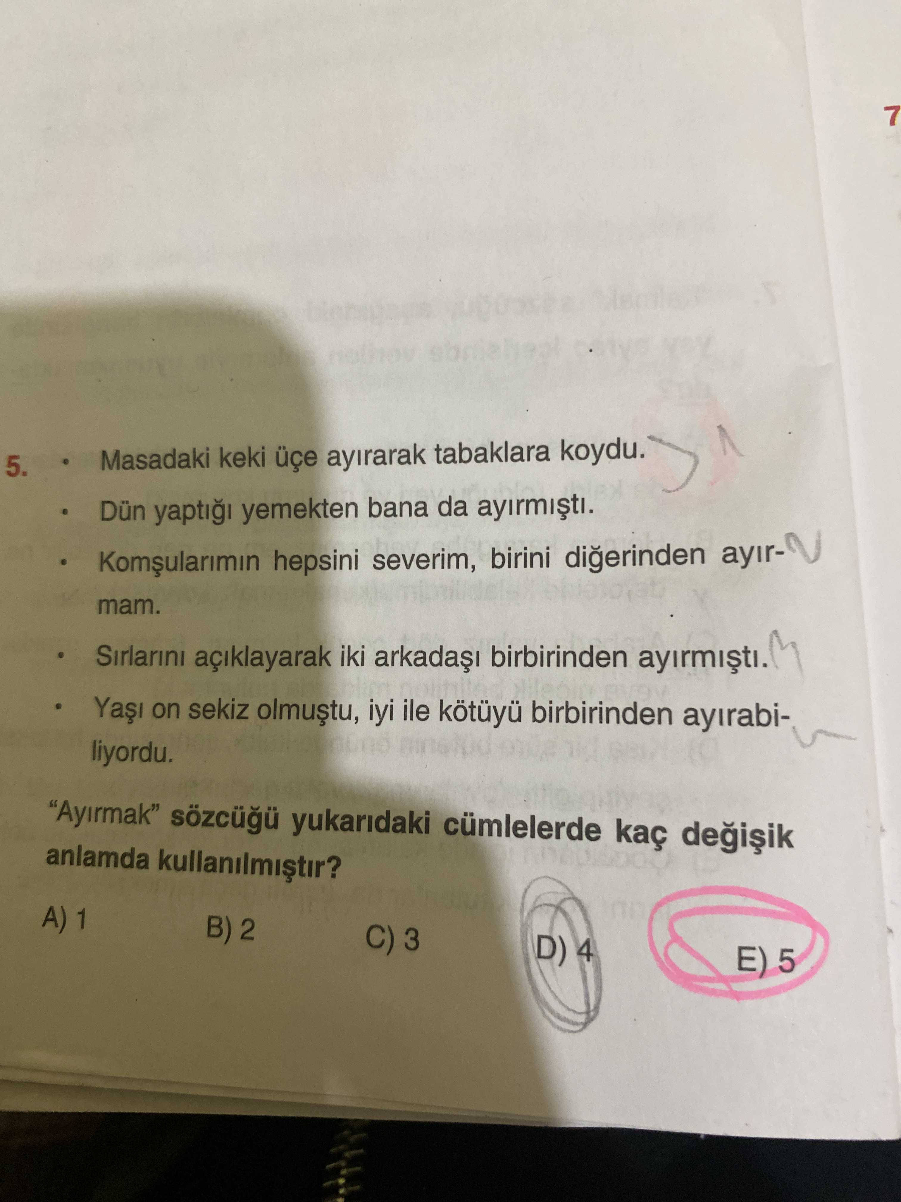 Türkçe (12. Sınıf)