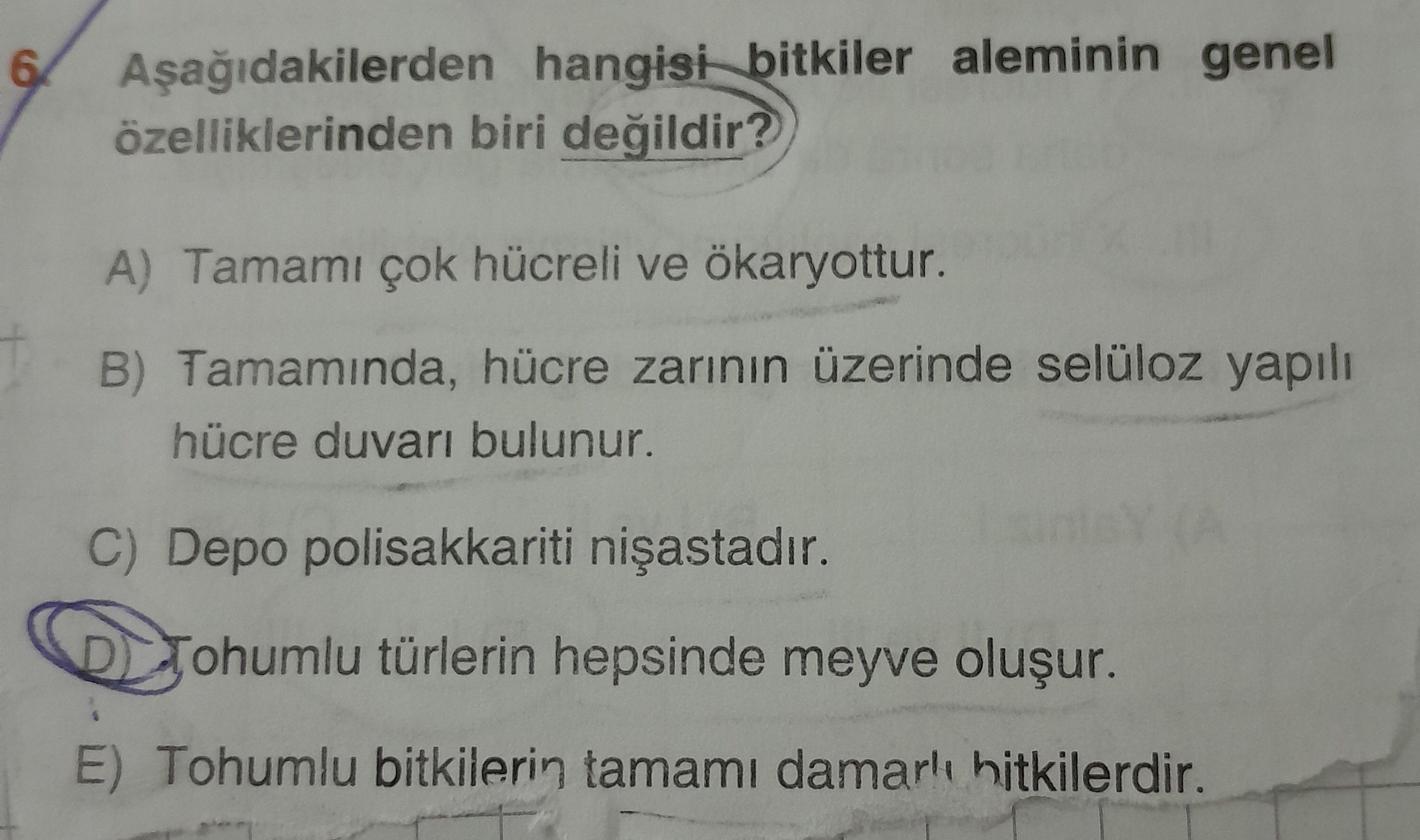 Aşağıdakilerden hangisi bitkiler aleminin genel özelliklerinden biri değildir?