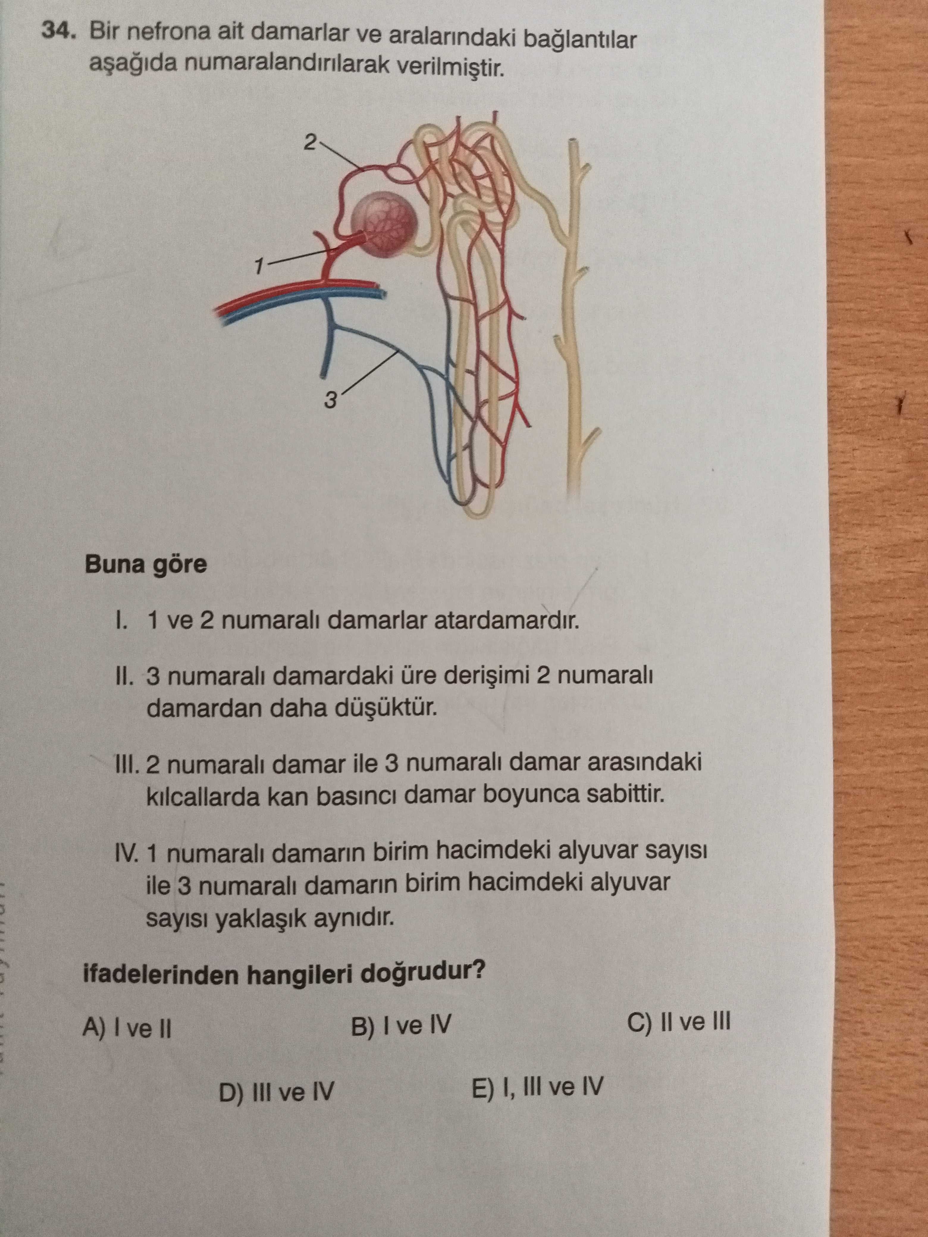 Bir nefrona ait damarlar ve aralarındaki bağlantılar aşağıda numaralandırılarak verilmiştir. Buna