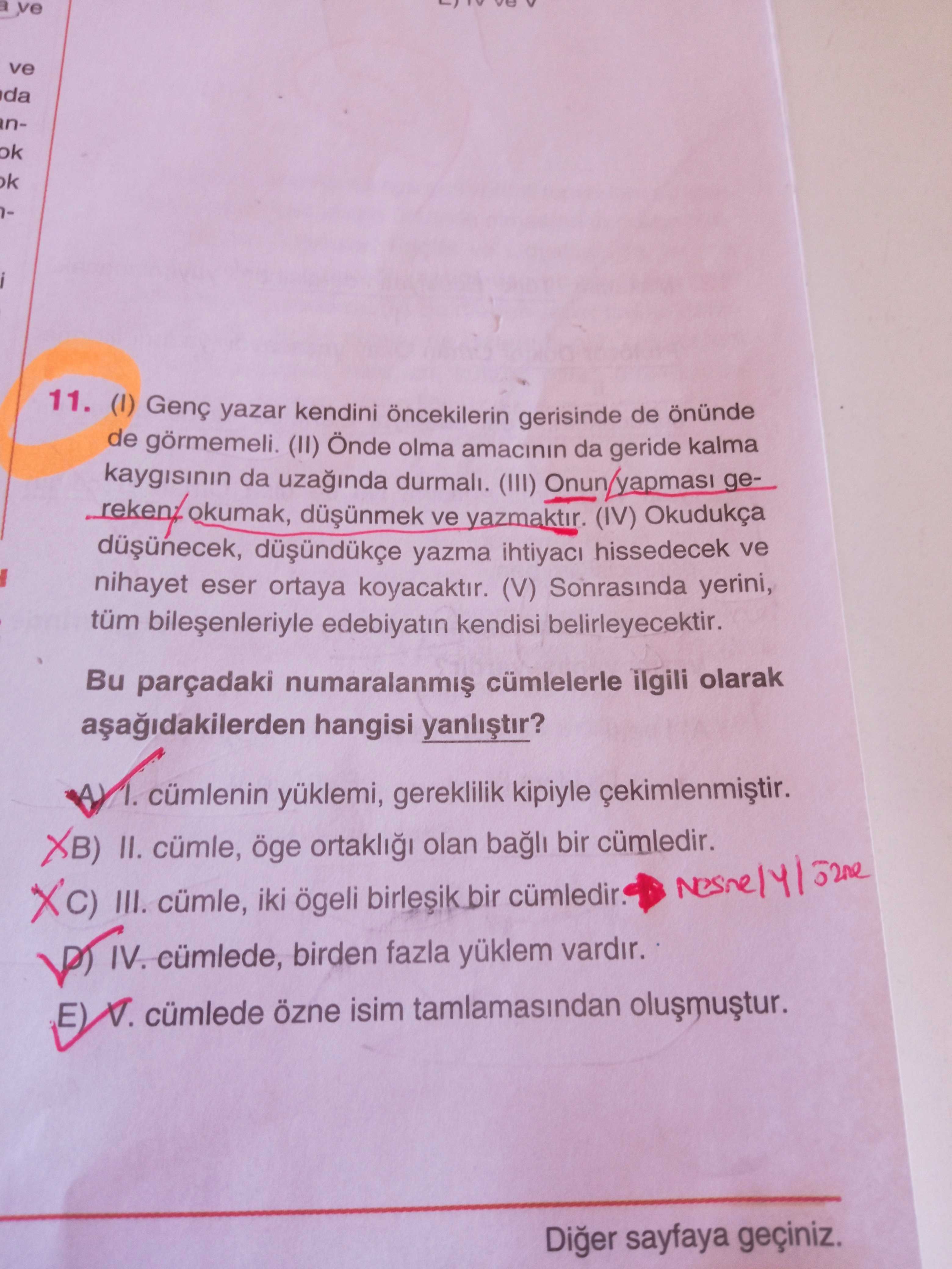 Türkçe (Mezun)