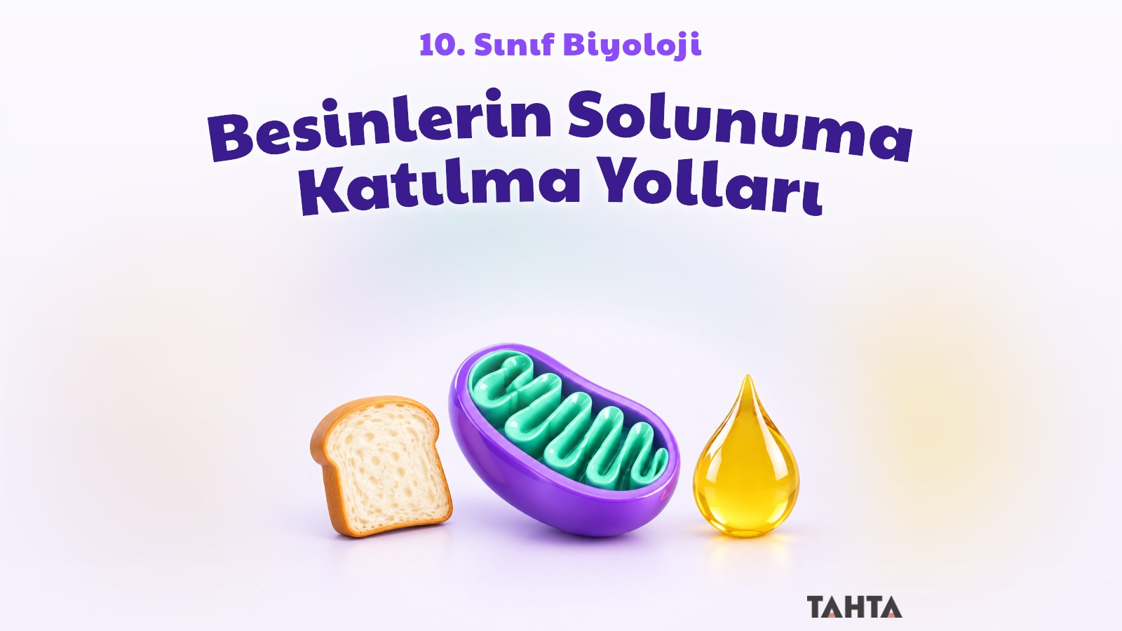 Mitokondri, ekmek dilimi ve yağ damlasıyla besinlerin solunuma katılma yolları kapak görseli