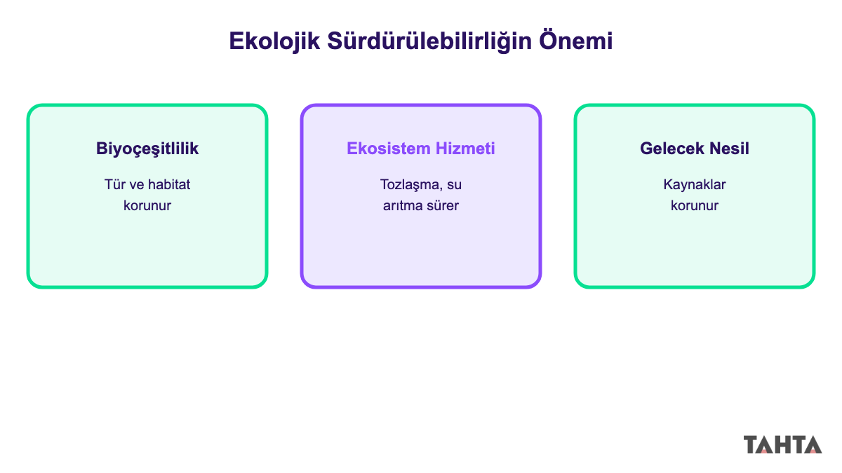Biyoçeşitlilik, ekosistem hizmeti ve gelecek nesil kaynaklarını gösteren üç panelli şema