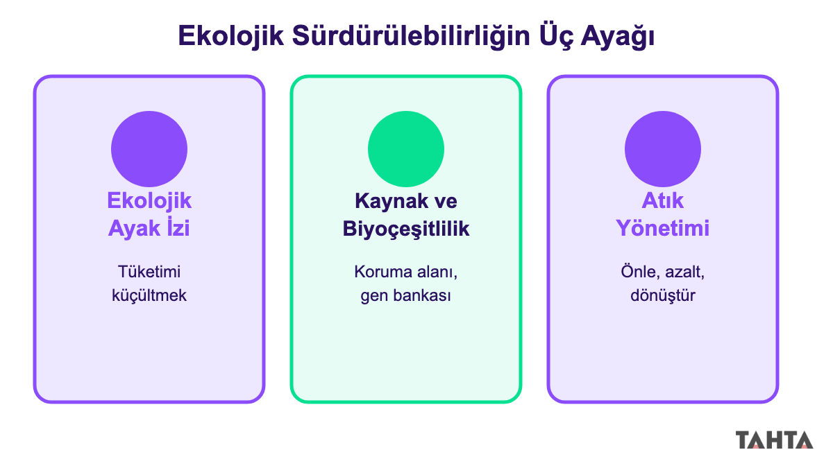 Ekolojik sürdürülebilirliğin sağlanması 10. sınıf infografiği: ayak izi, kaynak koruma, atık yönetimi