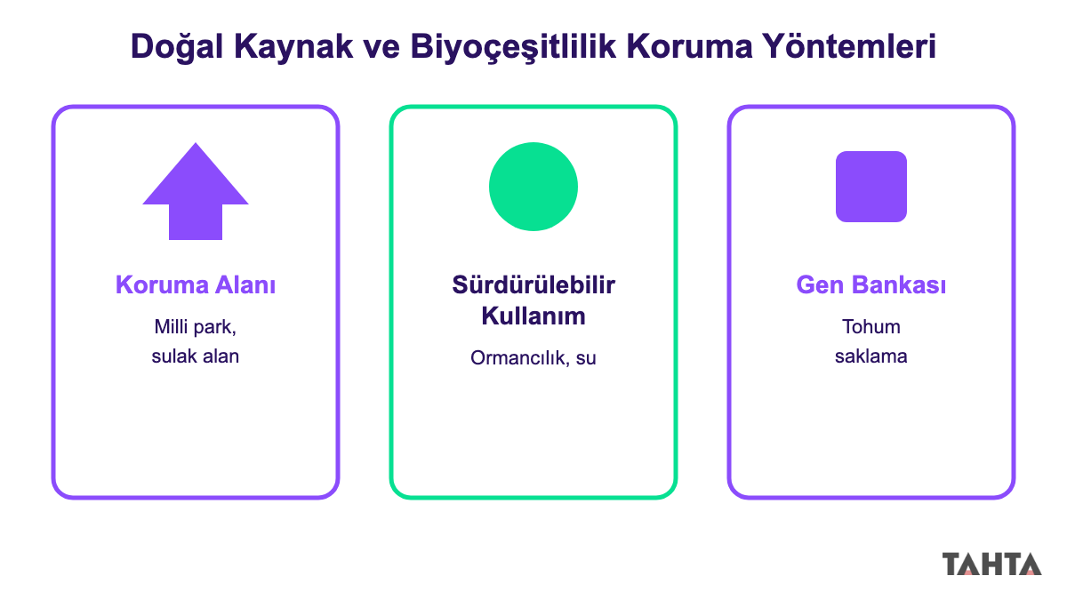 Doğal kaynakların ve biyoçeşitliliğin korunması yöntemleri: koruma alanı, sürdürülebilir kullanım, gen bankası