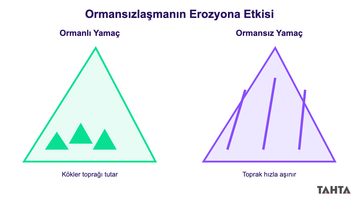 Ormanlı ve ormansız yamaçta erozyon farkını gösteren karşılaştırma çizimi