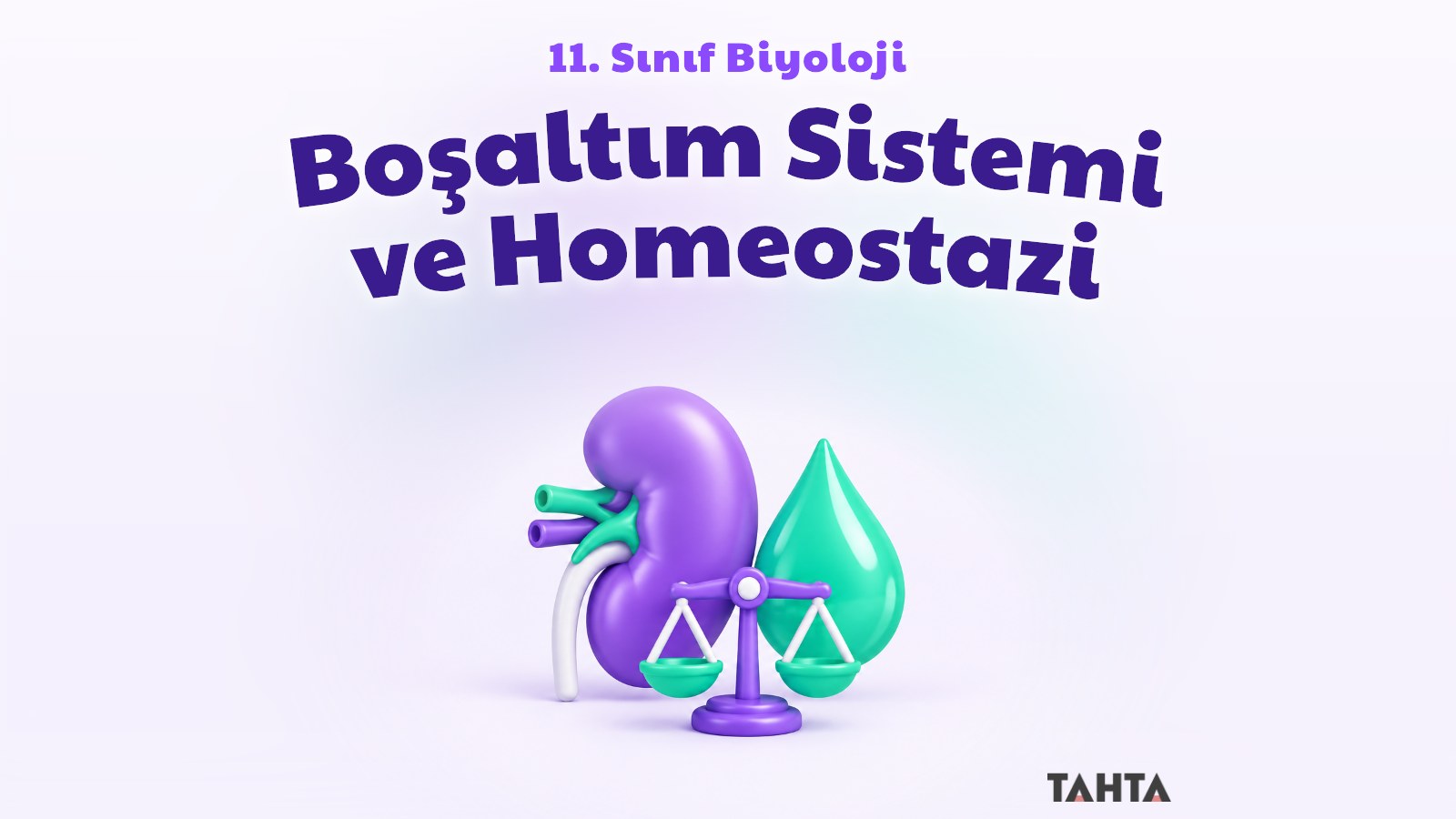 11. sınıf biyoloji boşaltım sistemi ve homeostazi konusunu simgeleyen böbrek, su damlası ve terazi