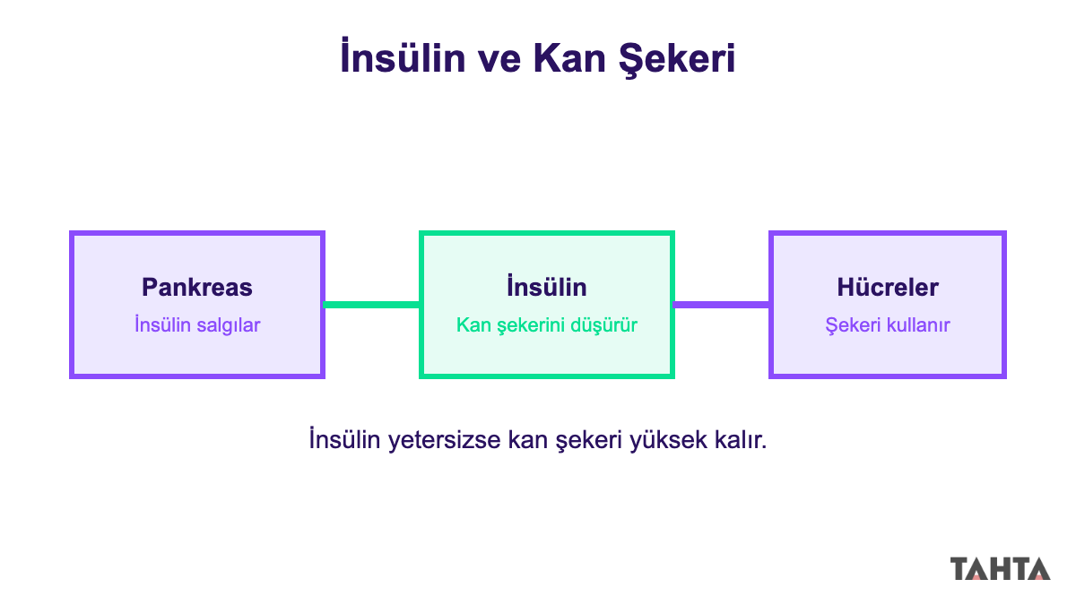 Diabetes Mellitusta insülin ve kan şekeri ilişkisi