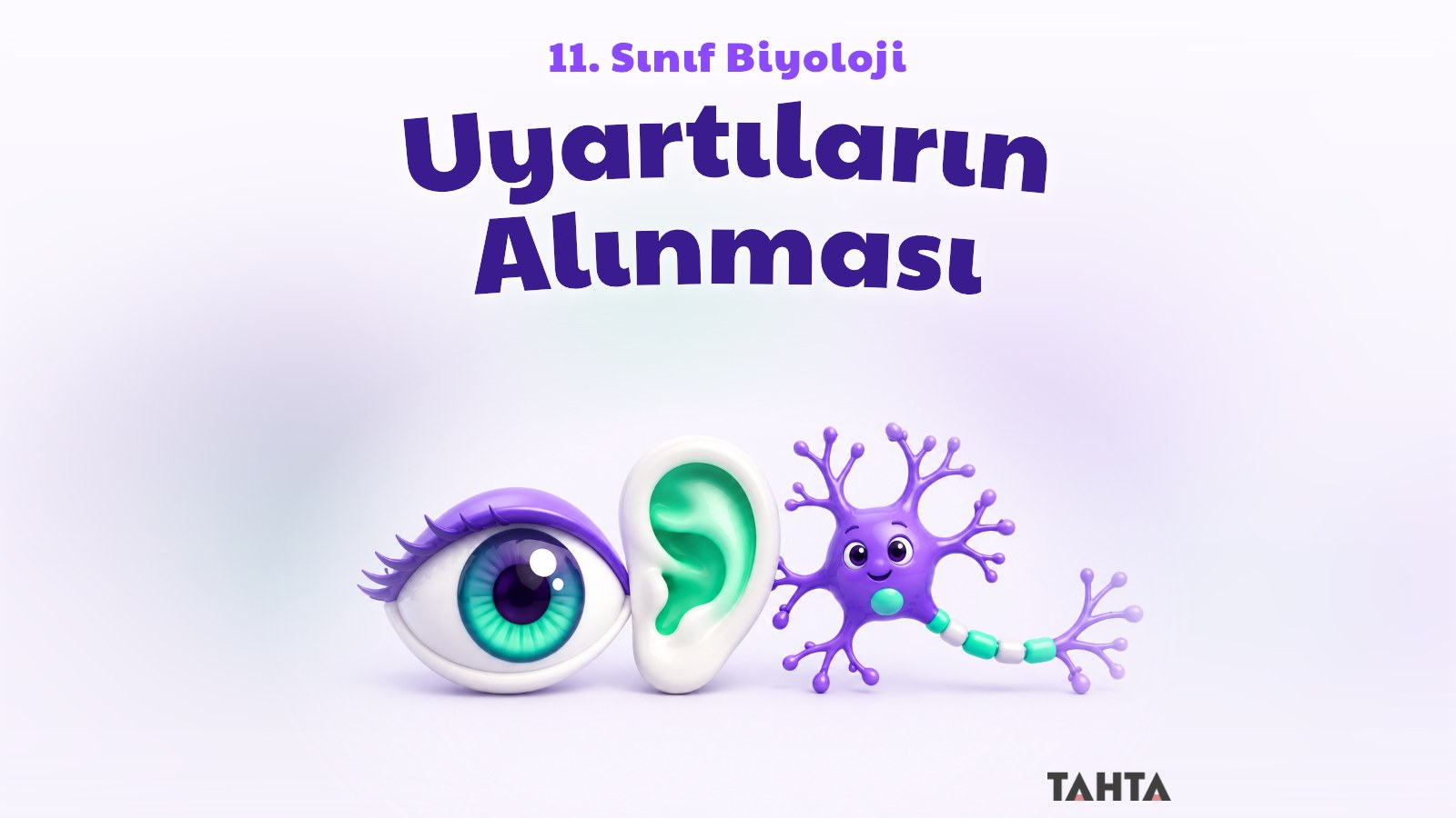 Göz, kulak ve nöron figürleriyle uyartıların alınması konusunun kapak görseli