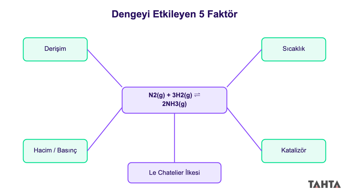 11. sınıf dengeyi etkileyen beş faktörü gösteren şema