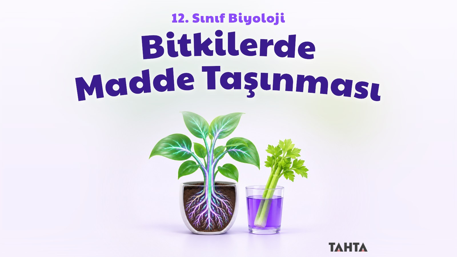 Kökleri ve damarları görünen parlak 3B bitki ile mor boyalı suya konmuş kereviz sapı