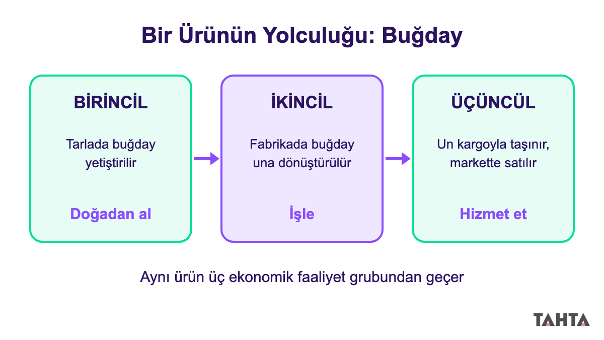 Buğdayın tarladan fabrikaya ve markete yolculuğuyla birincil, ikincil ve üçüncül faaliyetleri gösteren şema