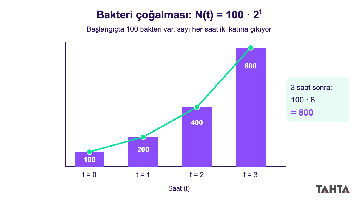 Her saat iki katına çıkan bakteri kolonisinde 0, 1, 2 ve 3. saatlerde 100, 200, 400 ve 800 bakteri