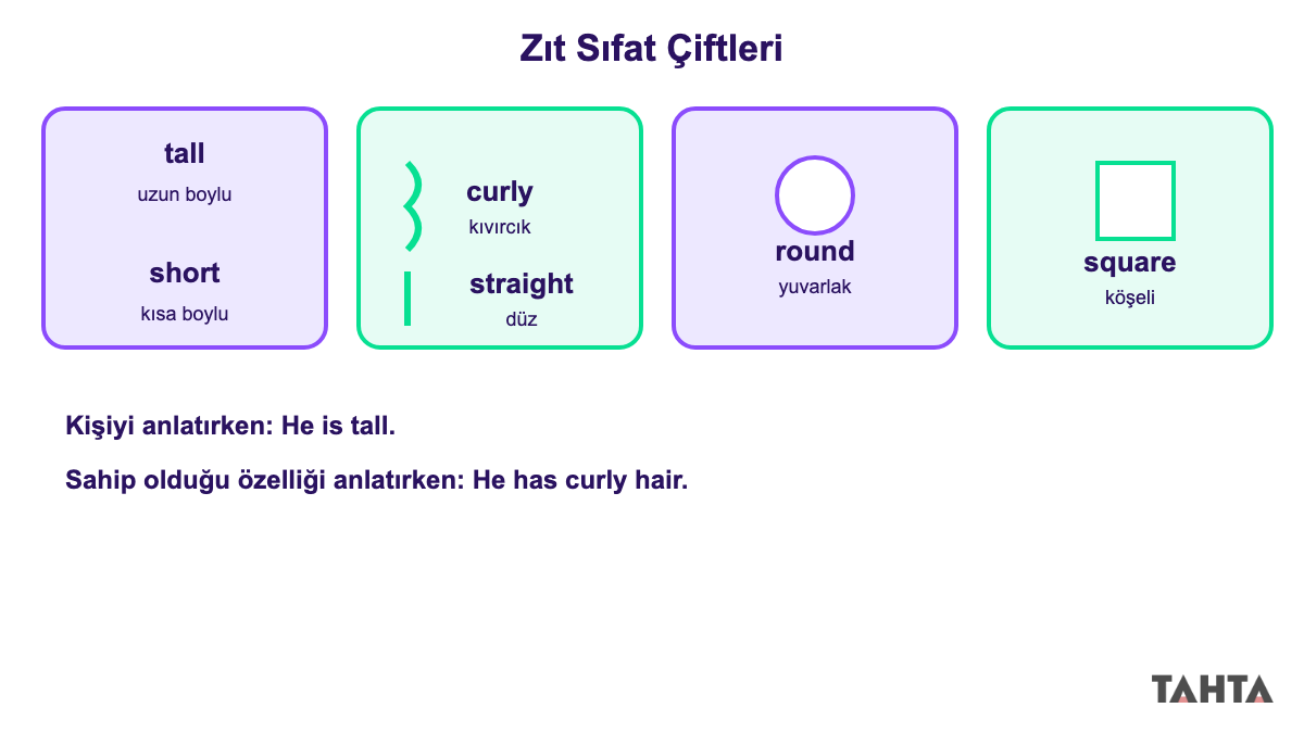 İngilizce fiziksel görünüş sıfatları tall short curly straight round square karşılaştırma paneli