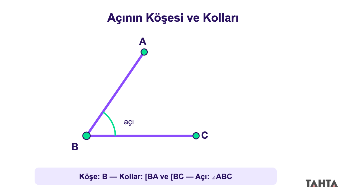 Açının köşesi ve kolları: B köşesinden çıkan BA ve BC kolları