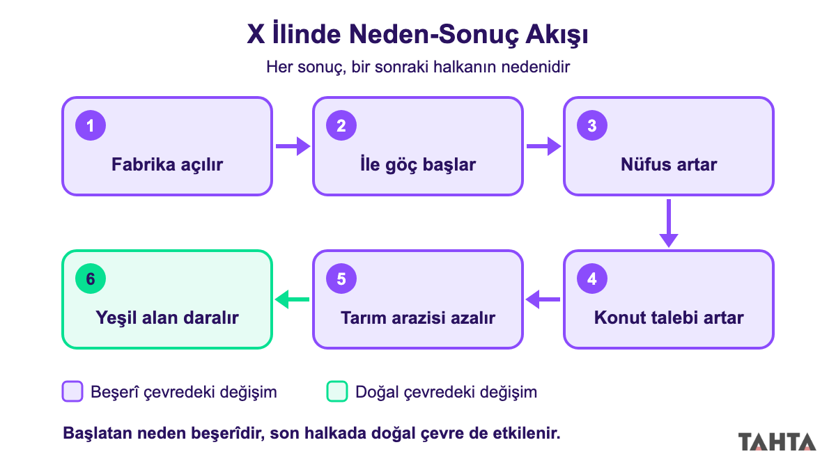Fabrika açılmasından yeşil alanın daralmasına uzanan altı adımlı neden sonuç akış şeması