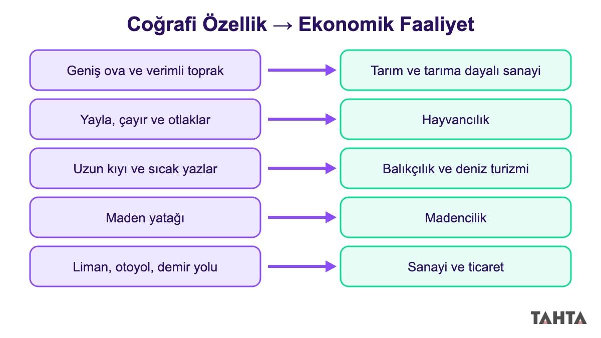 Coğrafi özelliklerin ekonomik faaliyete etkisi şeması: ova, yayla, kıyı, maden ve ulaşım ilişkisi