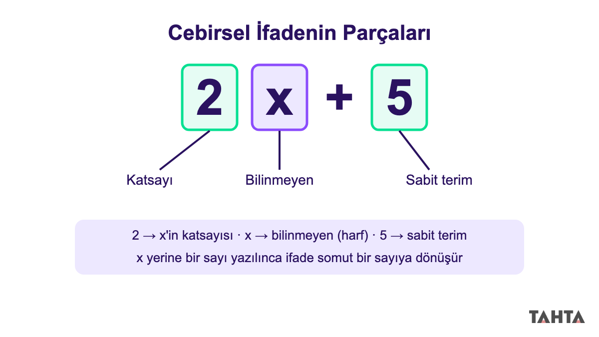 2x+5 cebirsel ifadesinde katsayı, bilinmeyen ve sabit terim parçalarının gösterimi