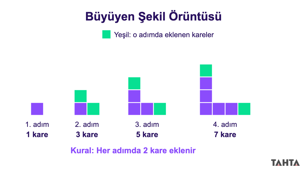 Dört adımda 1, 3, 5 ve 7 kareden oluşan, her adımda iki kare eklenen büyüyen şekil dizisi