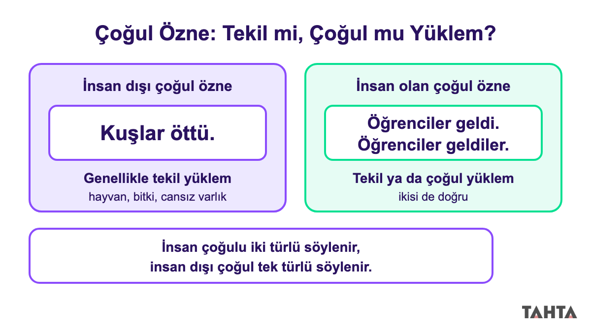 Kuşlar öttü ile Öğrenciler geldi ve geldiler cümlelerini karşılaştıran çoğul özne şeması