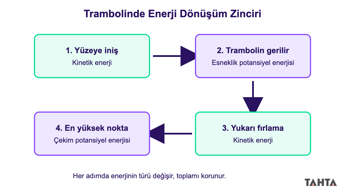 Enerji dönüşüm zinciri şeması: trambolinde kinetik, esneklik potansiyel ve çekim potansiyel enerjisi