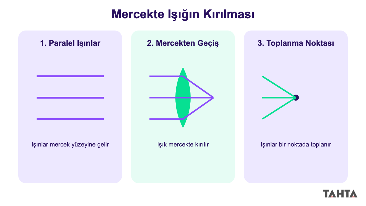 İnce kenarlı mercekte ışığın bir noktada toplanması adım adım gösterimi