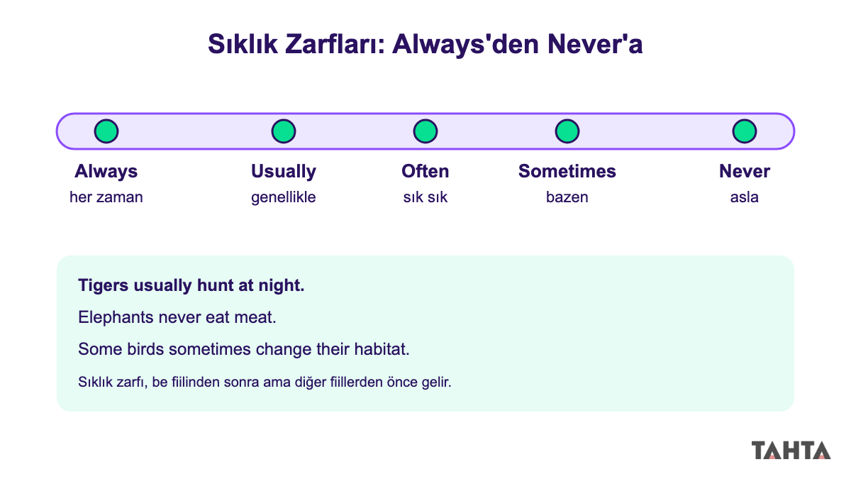 İngilizce sıklık zarfları: always, usually, often, sometimes, never sıralaması