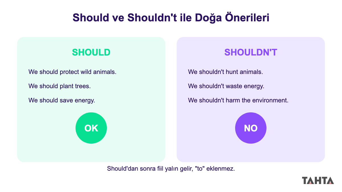 Should ve shouldn't ile doğayı koruma örnek cümleleri karşılaştırması